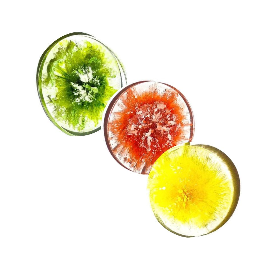 Vibrant Color Coasters Set of 3 - Absorbent & Durable Drink Coasters for Coffee, Wine & Beverages - Perfect for Home, Office & Party Use