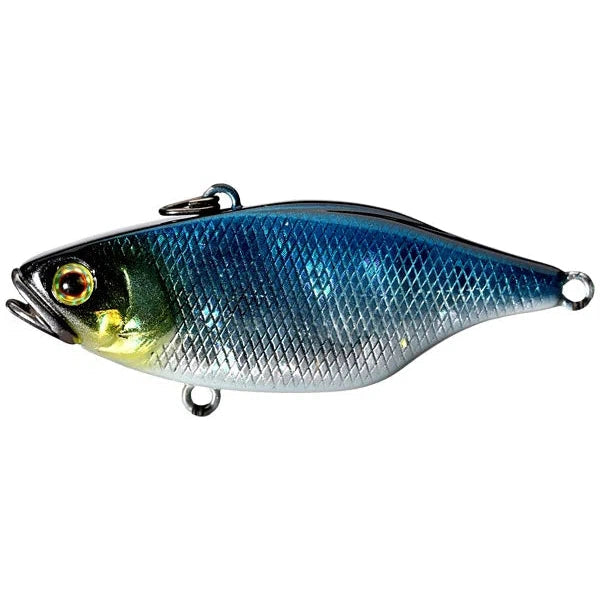Jackall TN 50 Lipless Crankbait Fishing Lure - Bass Fishing Bait for Freshwater & Saltwater - Perfect for Casting and Trolling in Lakes, Rivers, and Ponds