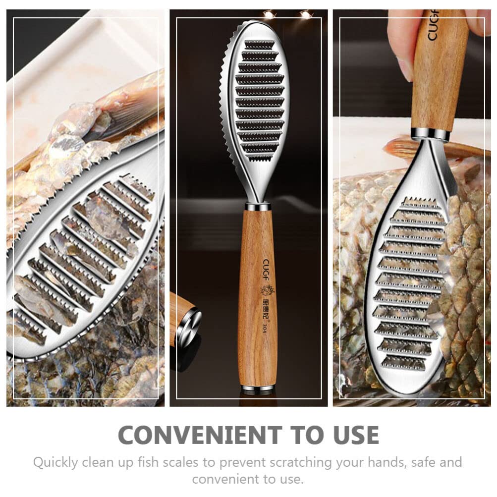Stainless Steel Fish Scaler Brush - Professional Fish Scale Remover Tool with Sawtooth Design for Kitchen | Perfect for Cleaning Salmon, Tilapia, Bass and More | Essential Kitchen Gadget for Home Cooks & Fishermen
