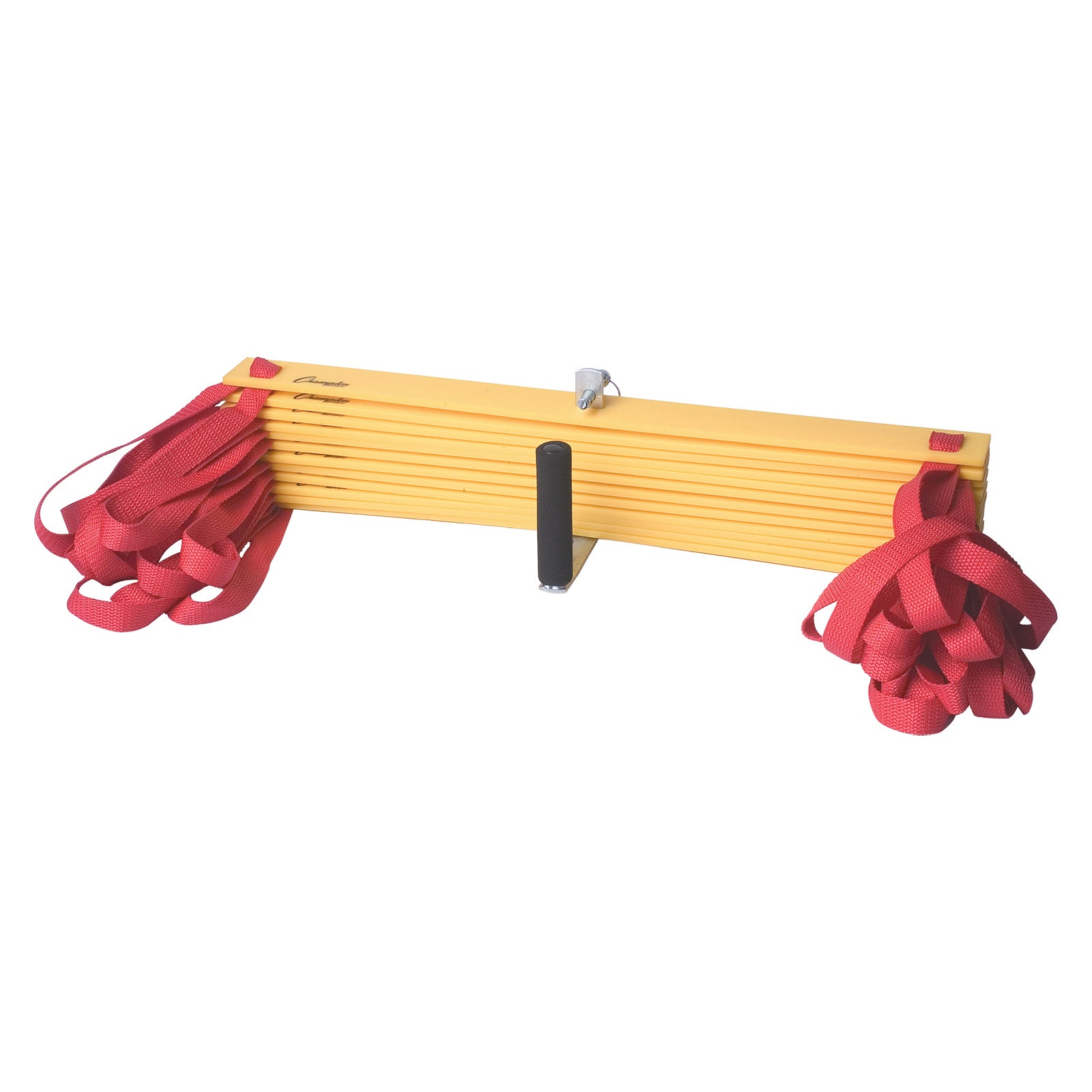 Champion Sports Economy Agility Ladder - Speed Training Equipment for Football, Soccer & Basketball - Improve Footwork & Agility for Athletes & Fitness Enthusiasts