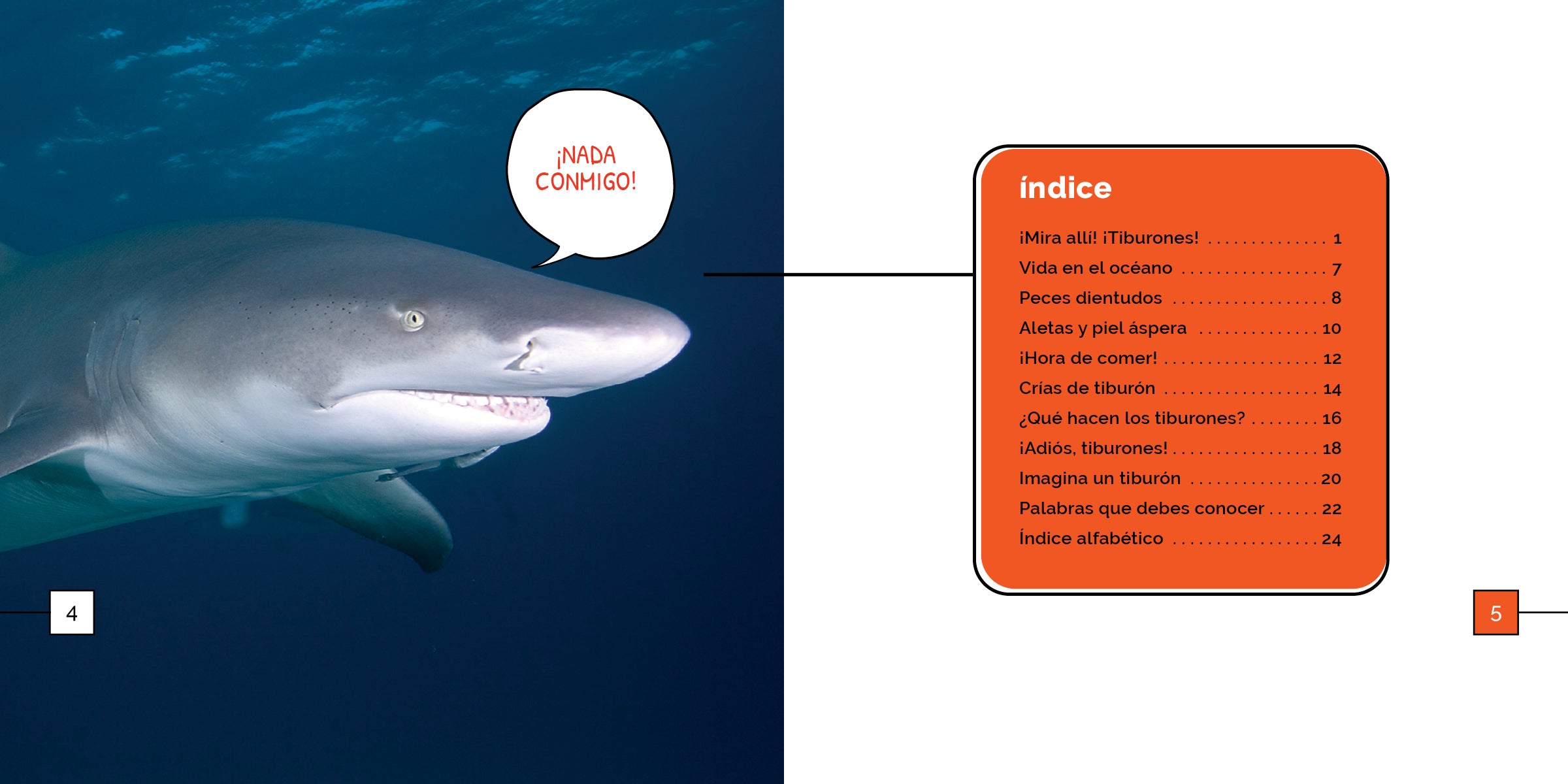 Los Tiburones 9798889891024 - Premium Shark-Themed Collectible for Fans & Enthusiasts | Perfect for Home Decor, Gifts, and Shark Lovers
