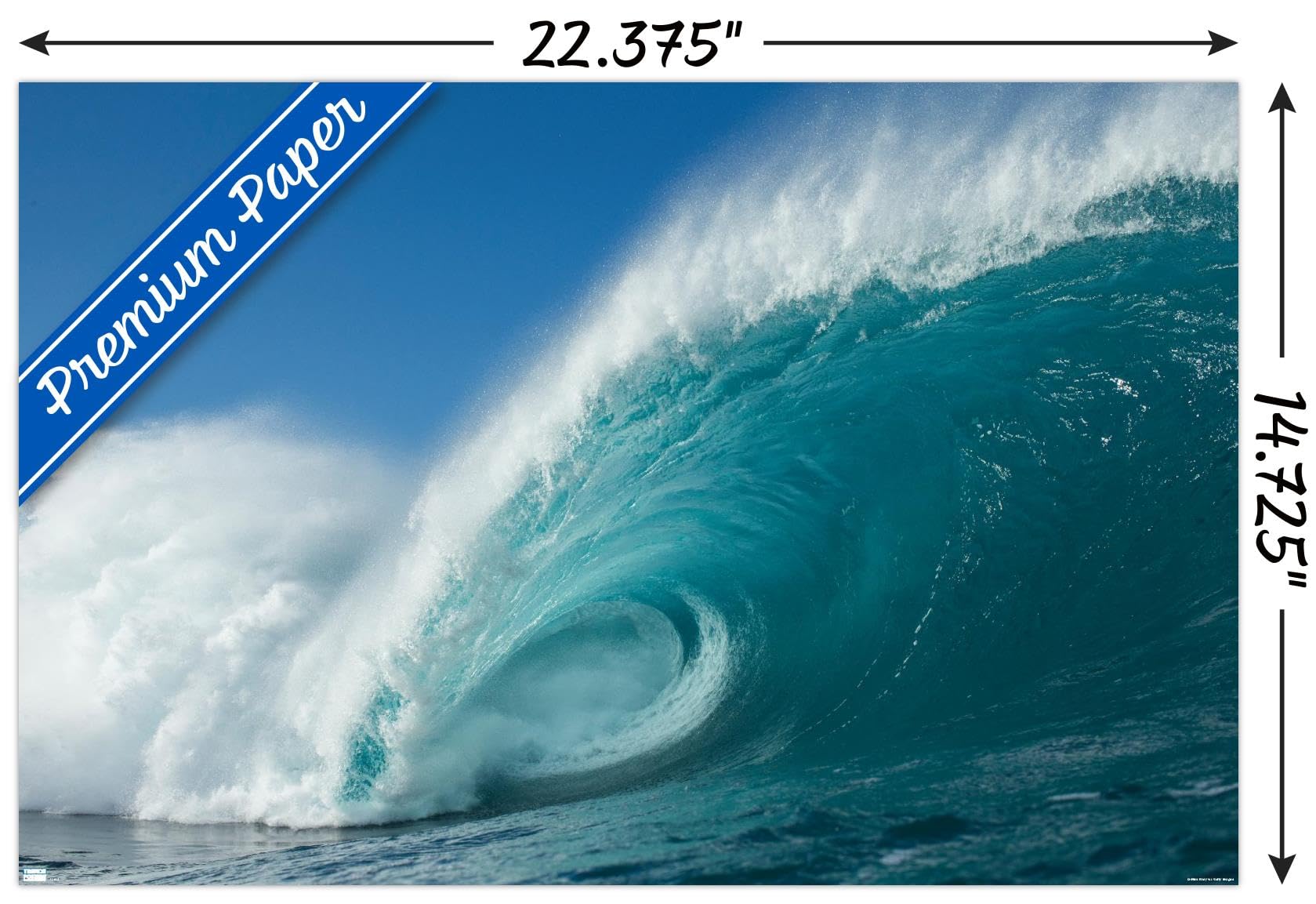 Trends International Surfing - Rolling Wave Wall Poster 14.725x22.375 Inch | Premium Framed Art Print for Beach House Decor, Surf Shack & Coastal Bedroom