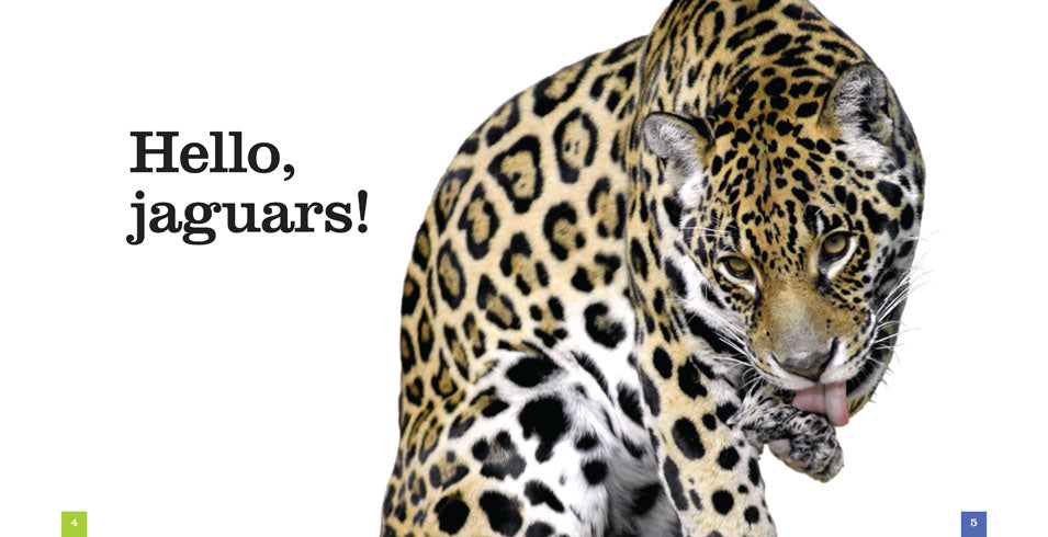 Jaguars Book ISBN 9781608187386 - Wildlife Photography & Big Cat Facts for Nature Lovers