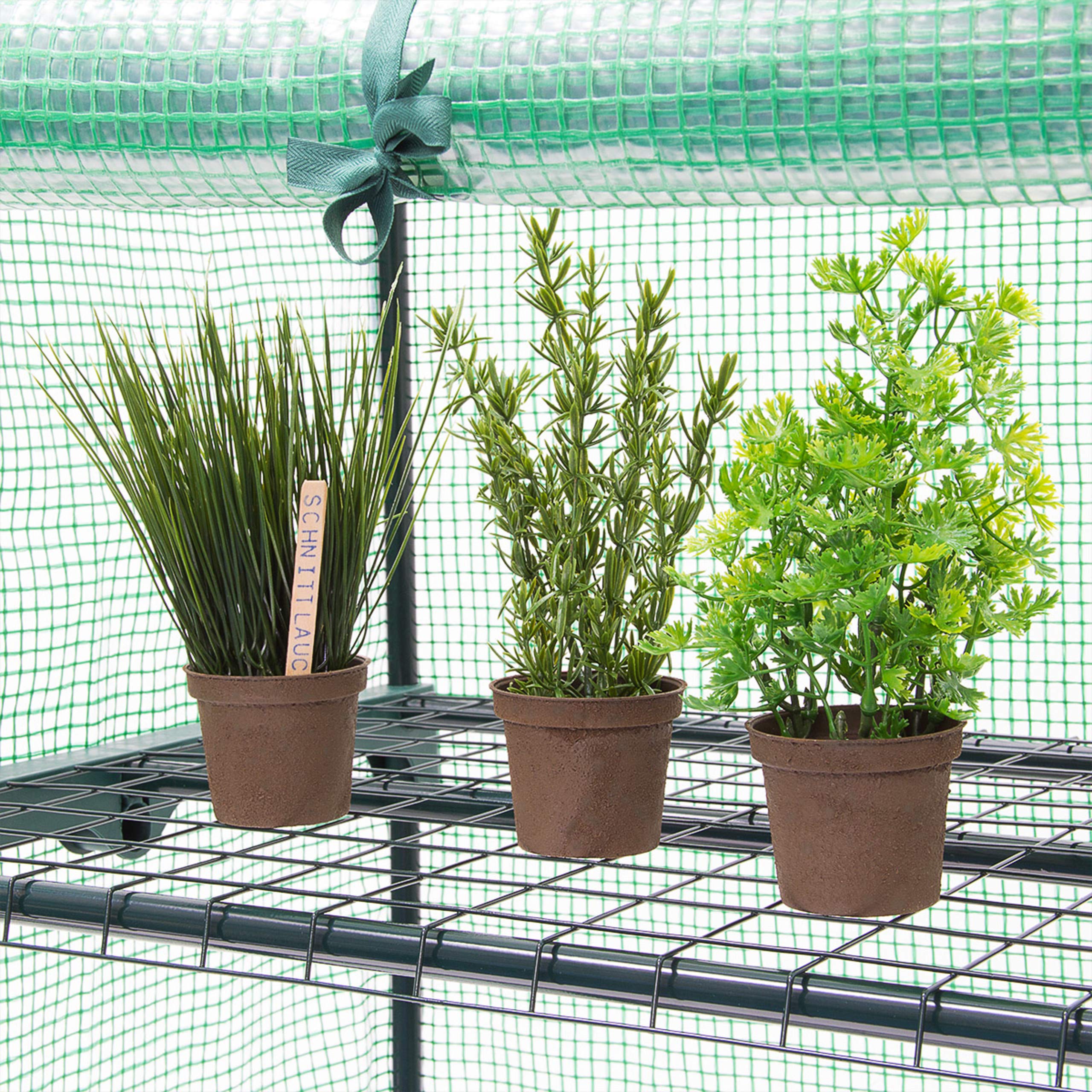 Relaxdays 2-Tier Greenhouse with Tear-Resistant Cover, 60 x 46 cm (23.6 x 18.1 in) - Ideal for Indoor Herb Gardens, Seed Starting & Small Plant Protection
