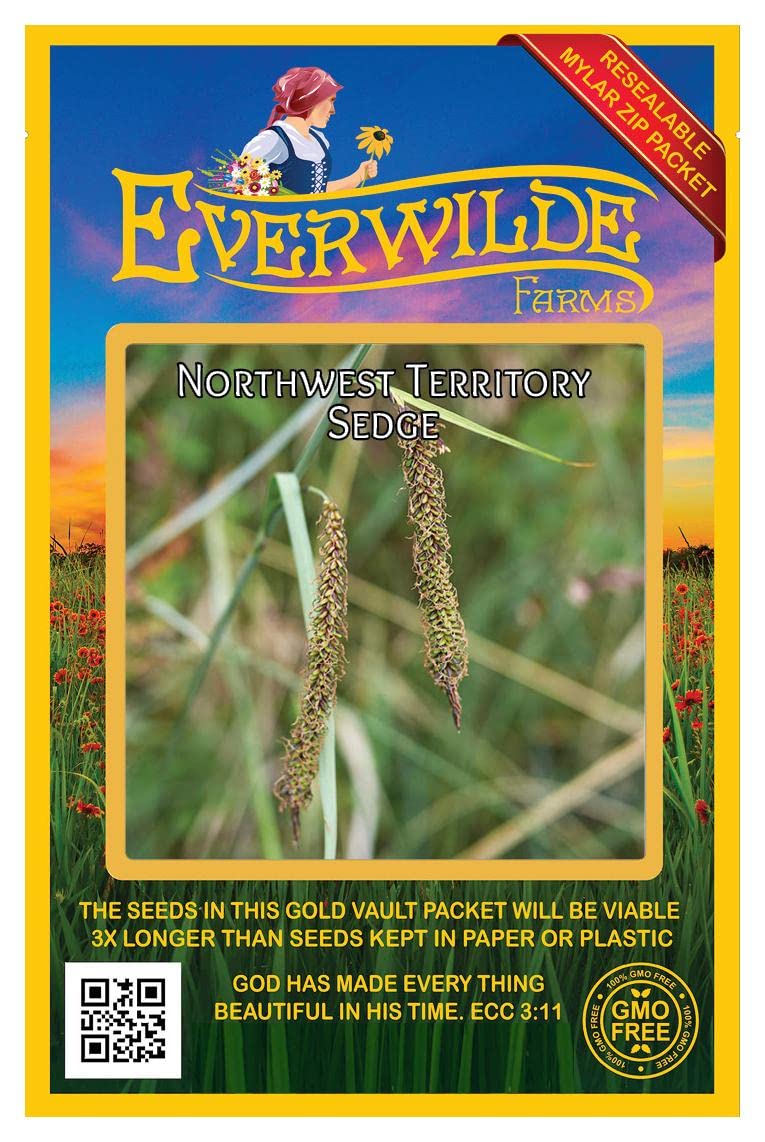 Everwilde Farms - 200 Northwest Territory Sedge Native Grass Seeds - Gold Vault Jumbo Seed Packet for Landscaping, Erosion Control & Wildlife Habitat