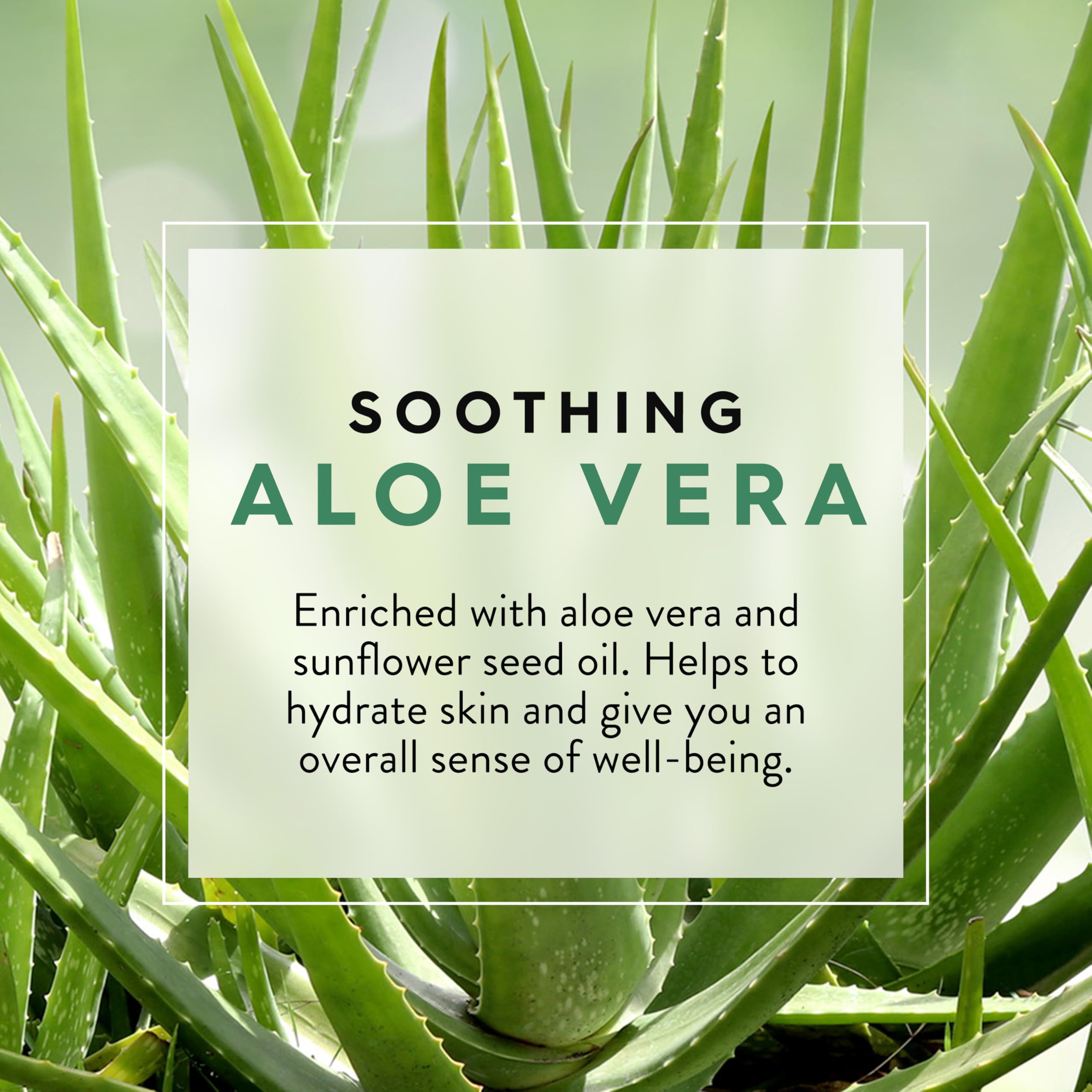 JASON Aloe Vera Soothing Body Wash - Moisturizing & Gentle Cleanser for Sensitive Skin, 30 Fl Oz - Perfect for Dry Skin Care & Post-Sun Relief
