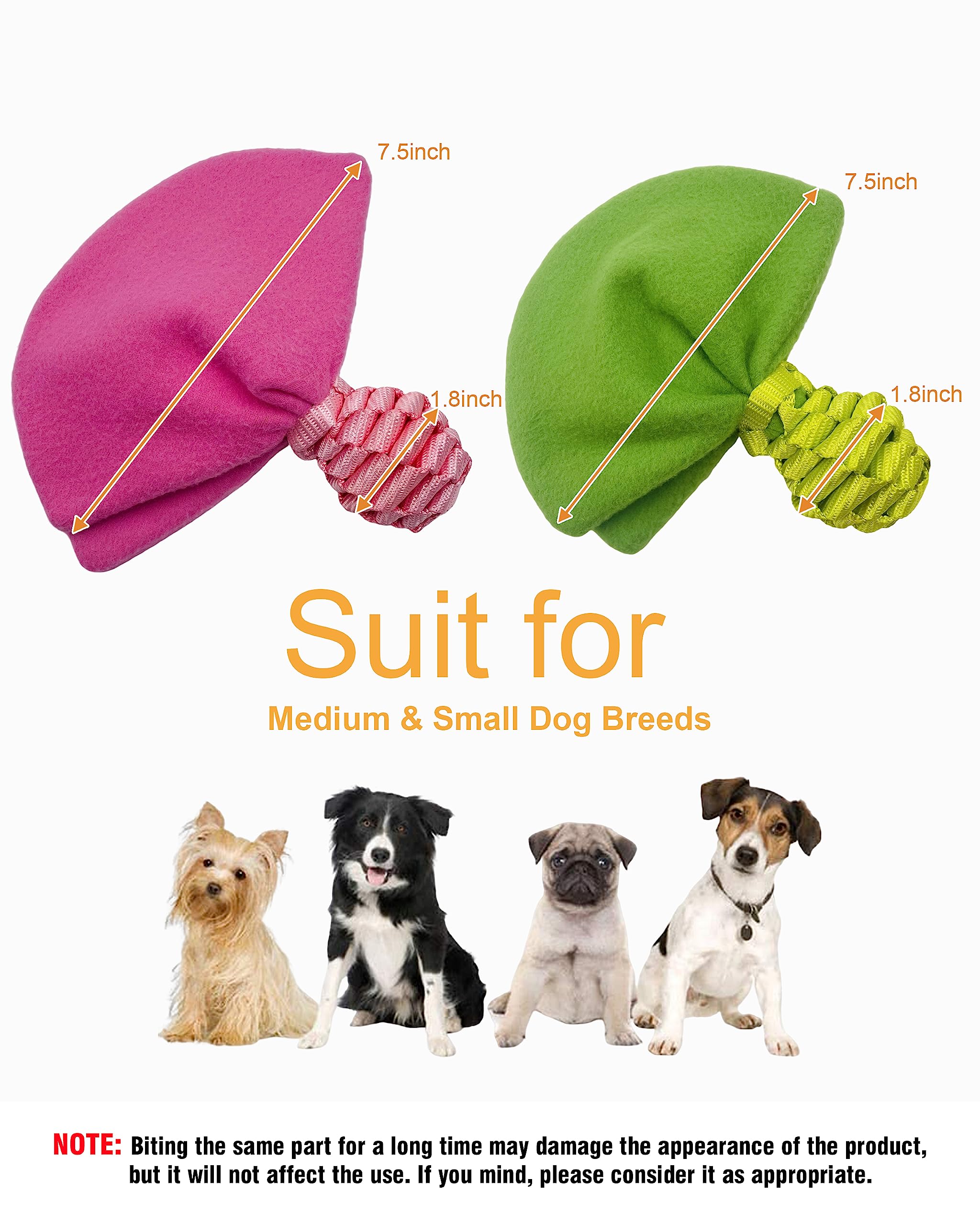 Durable Dog Squeaky Toys for Puppies - 2 Pack No Stuffing Chew Toys for Teething Small & Medium Dogs | Interactive Pet Toys for Indoor & Outdoor Play