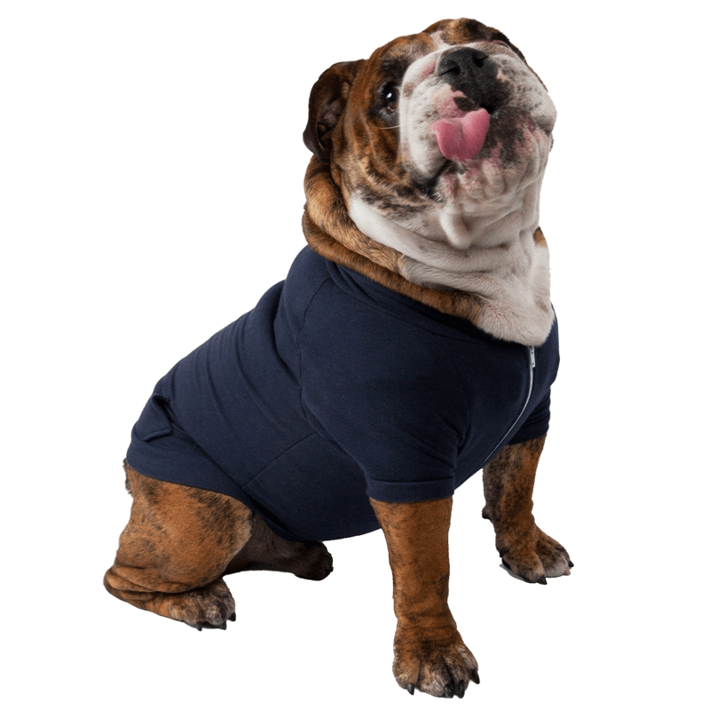 Blue Dog Hoodie - Soft & Comfortable Pet Hooded Sweater for Small & Medium Dogs - Perfect for Winter Walks & Outdoor Adventures
