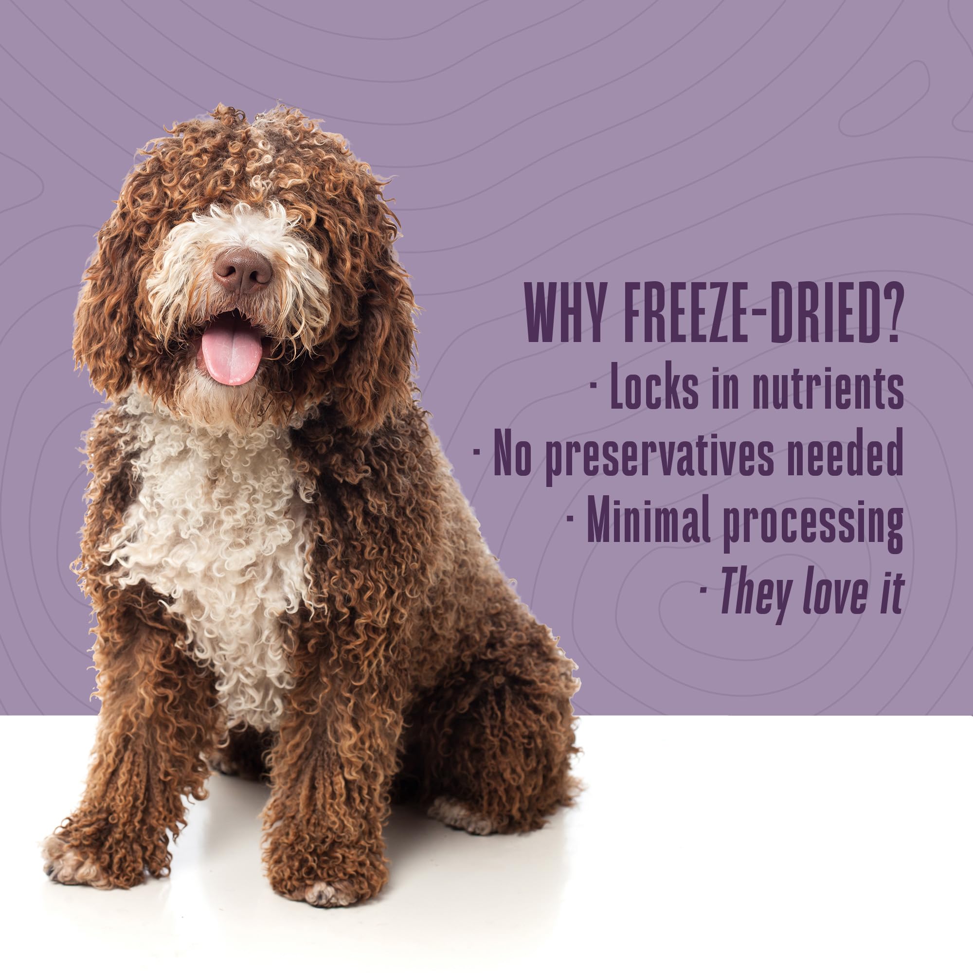 Whole Life Just One Chicken Freeze-Dried Dog Treats - Human-Grade High Protein Training Snacks, Natural Freeze-Dried Food Toppers for Dogs - USA Made Healthy Dog Food (10 oz, 6-Pack Value) - Perfect for Training, Rewards & Mealtime Enhancement