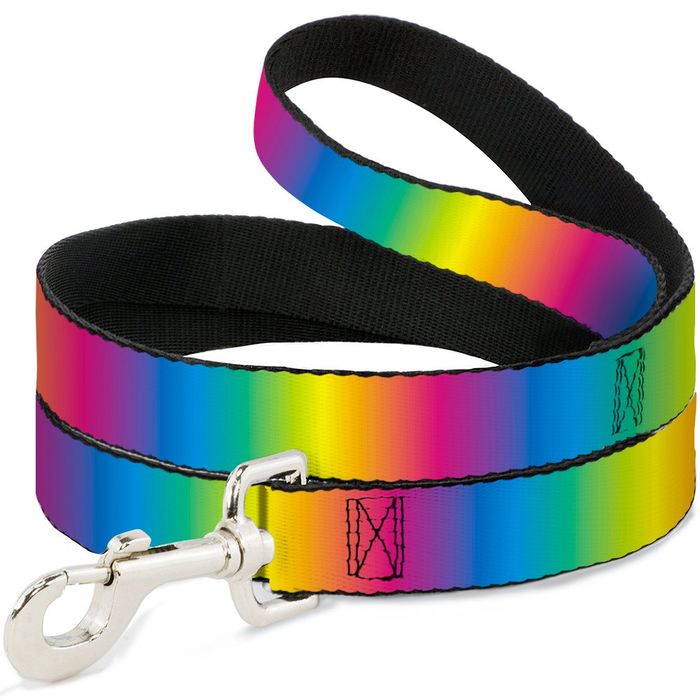 Buckle-Down Rainbow Ombre Pet Leash - 4 Feet Long, 1 Inch Wide - Durable Dog Walking Leash for Small to Medium Dogs - Perfect for Daily Walks, Hiking & Outdoor Adventures
