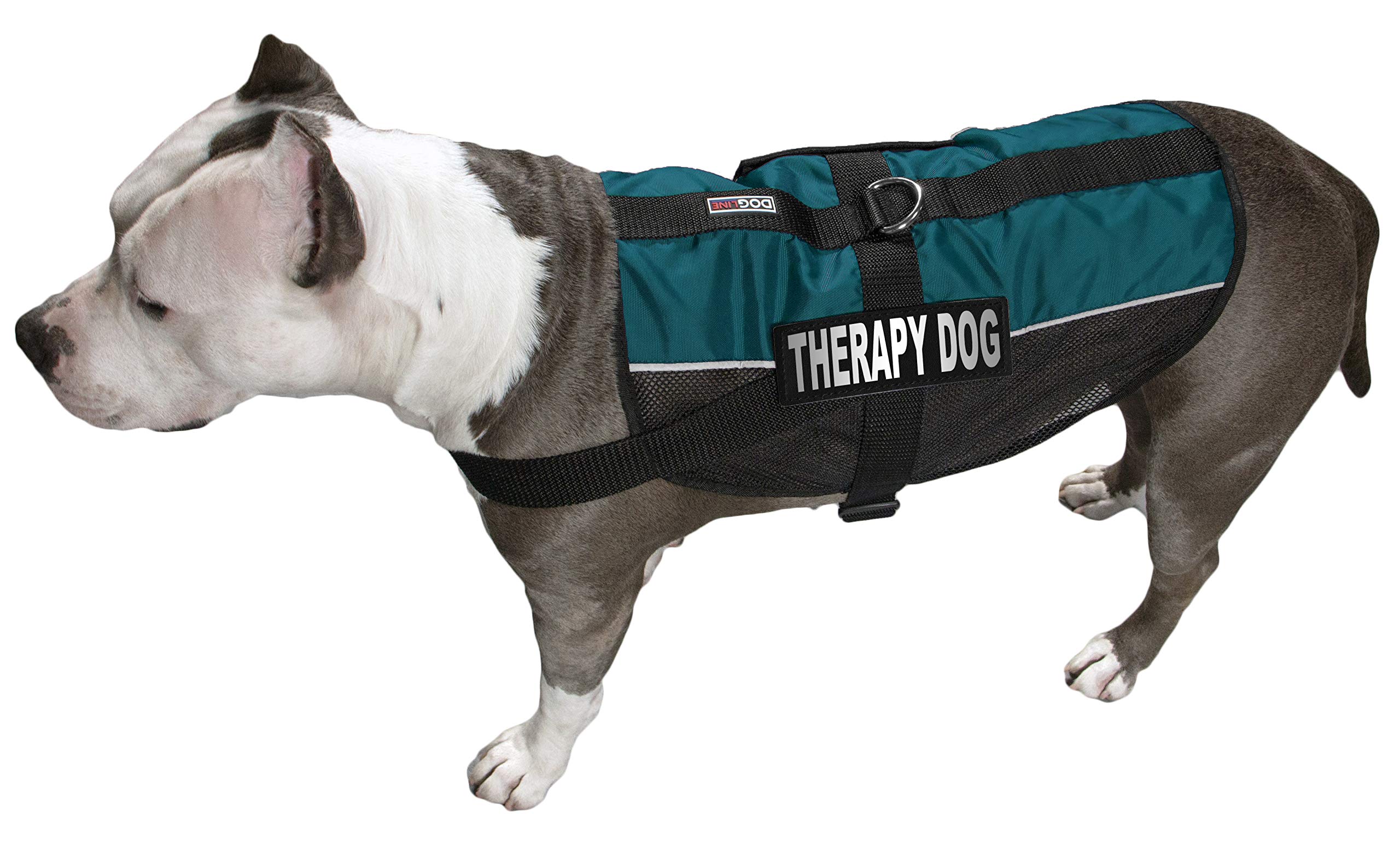MaxAire Vest Therapy Dog Harness - Adjustable, Reflective with Removable Patch for Small, Medium & Large Dogs (13-16 Inch Girth) - Perfect for Training, Outdoor Adventures & Service Dogs (Teal)