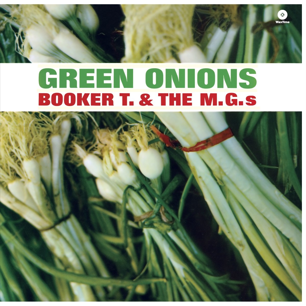 Fresh Green Onions - Organic Scallions for Cooking, Salads & Garnishes - Perfect for Home Chefs & Healthy Recipes