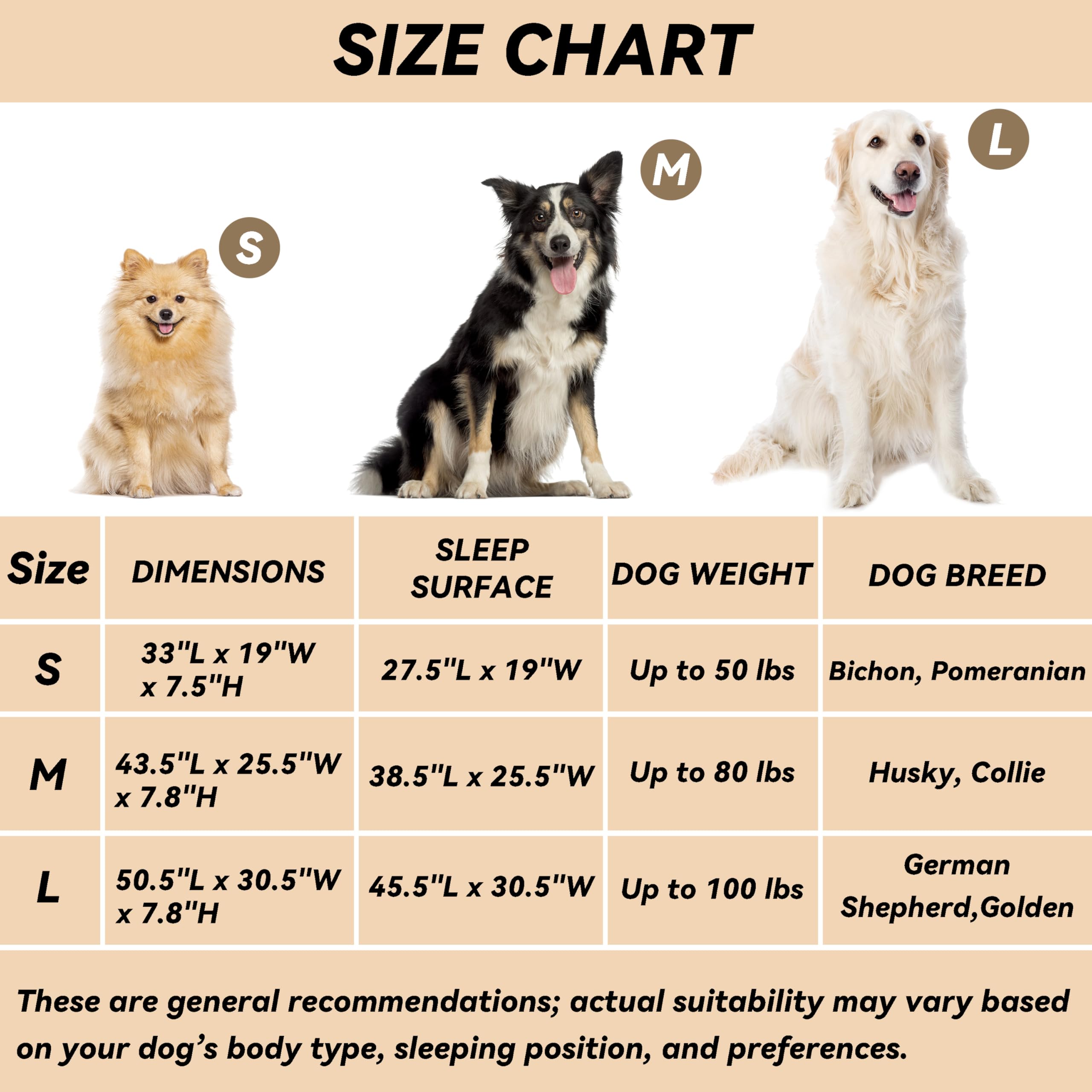 PHYEX Elevated Dog Bed for Medium Dogs - Breathable Mesh Cooling Cot with Sturdy Steel Frame, Non-Slip & Easy to Clean - Indoor/Outdoor Pet Bed (43.5