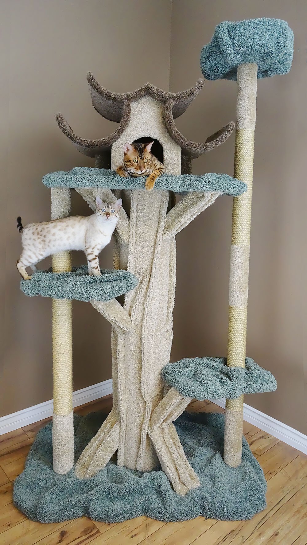 Premium 7-Foot Tall Cat Condo Playground - Multi-Level Cat Tree with Scratching Posts & Perches for Indoor Cats - Perfect for Play, Climbing & Relaxation in Home or Office