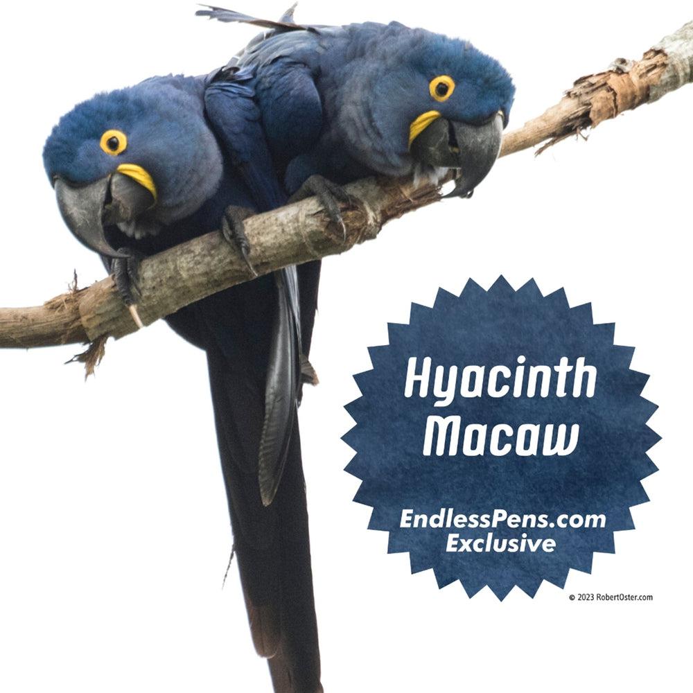 Robert Oster Hyacinth Macaw Fountain Pen Ink Bottle - 50ml Vibrant Blue-Green Shade for Calligraphy, Journaling & Artistic Writing - Premium Ink for Dip Pens & Fountain Pens