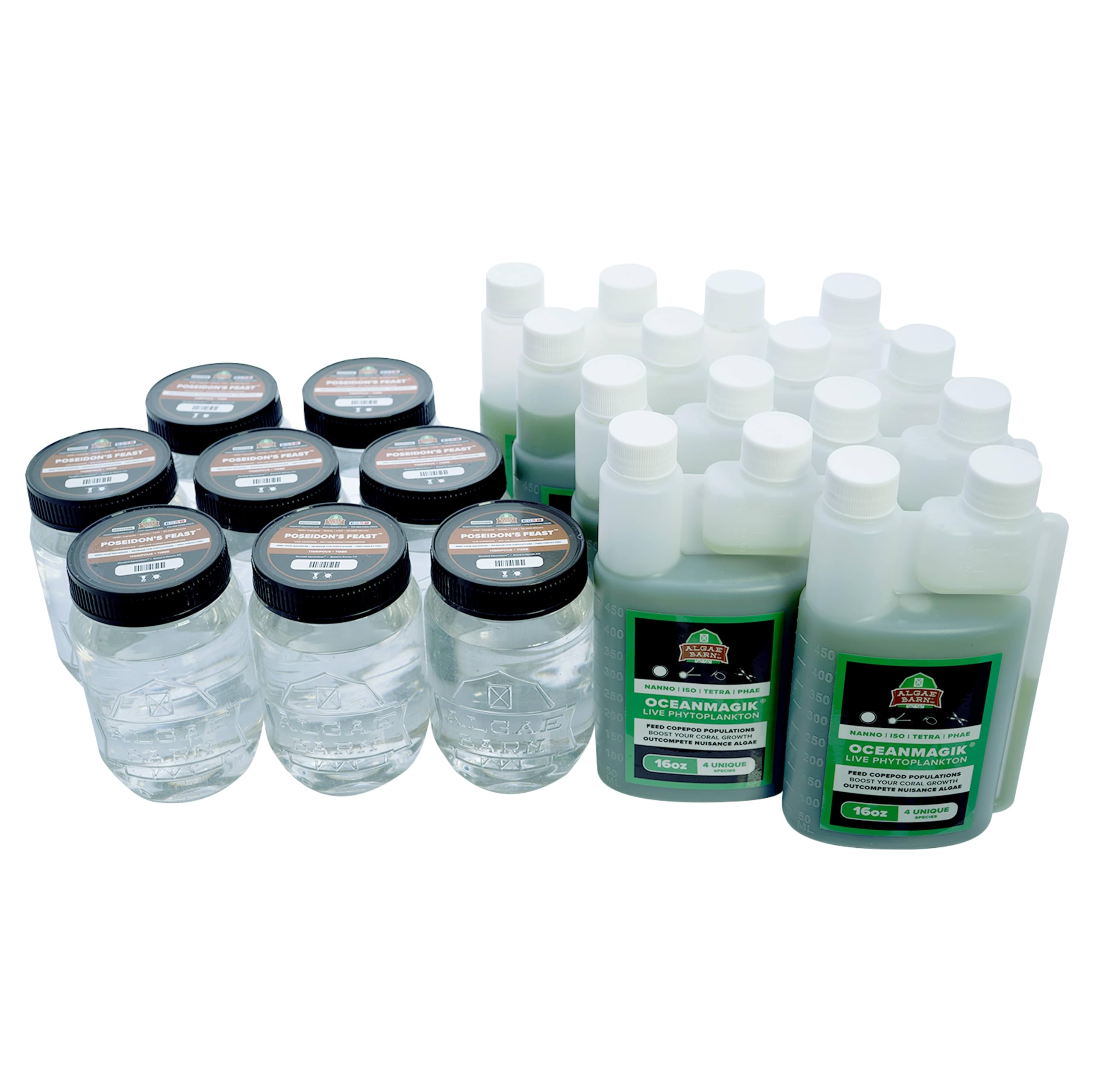 Live Copepods & Phytoplankton Combo Pack - Tisbe & Tigriopus Pods + Live Phytoplankton (128oz, 21lbs) - Premium Marine Fish Food for Saltwater Aquariums, Coral Reef Tanks & Aquatic Pets - Enhances Nutrition & Promotes Healthy Ecosystem