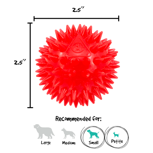 Gnawsome Small Squeak and Light Ball - Interactive Dog Toy for Small Breeds, Chew-Resistant Puppy Toy with Squeaker & LED Light - Perfect for Indoor Play, Training & Teething Relief