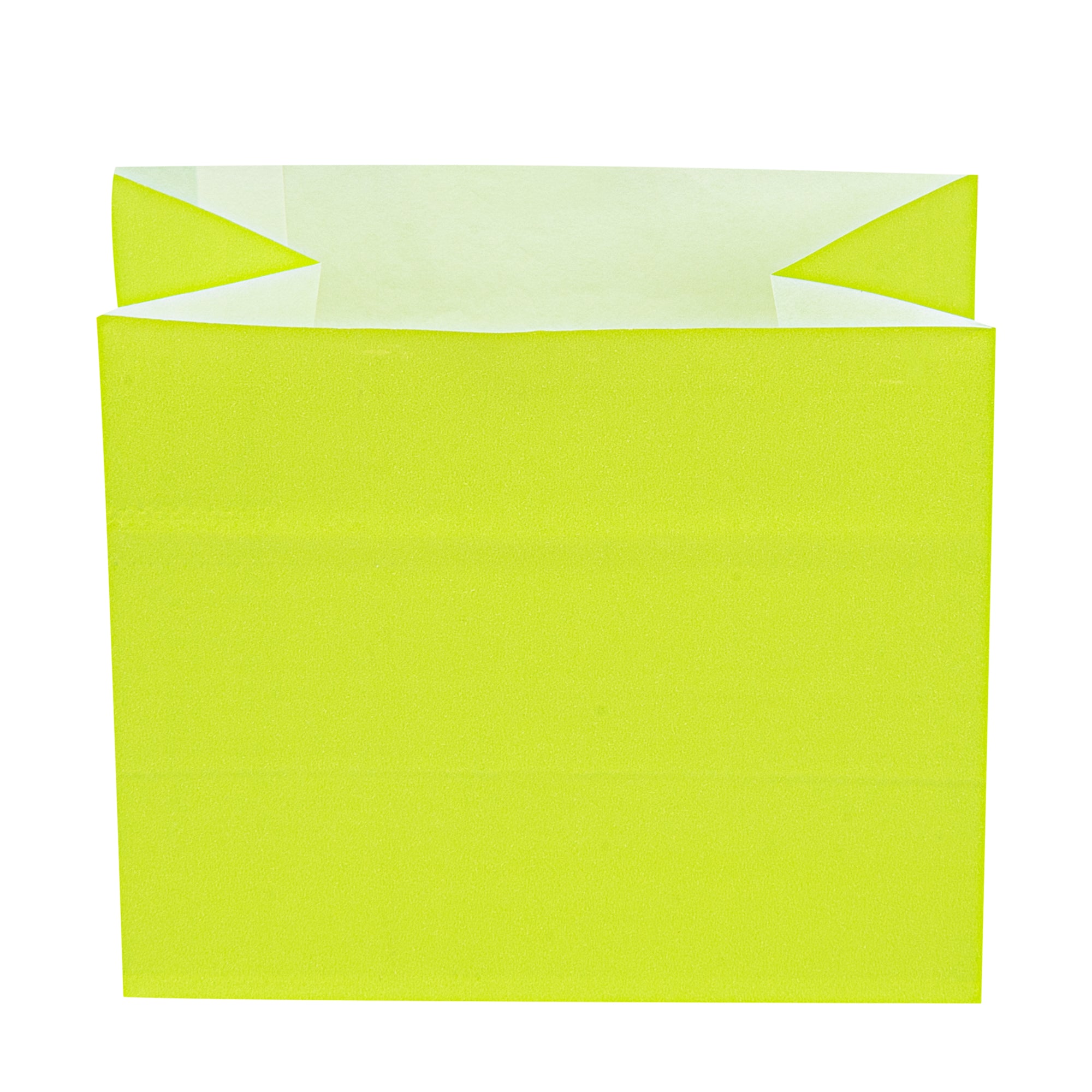 Eco-Friendly Large Snack Bags - 4.25