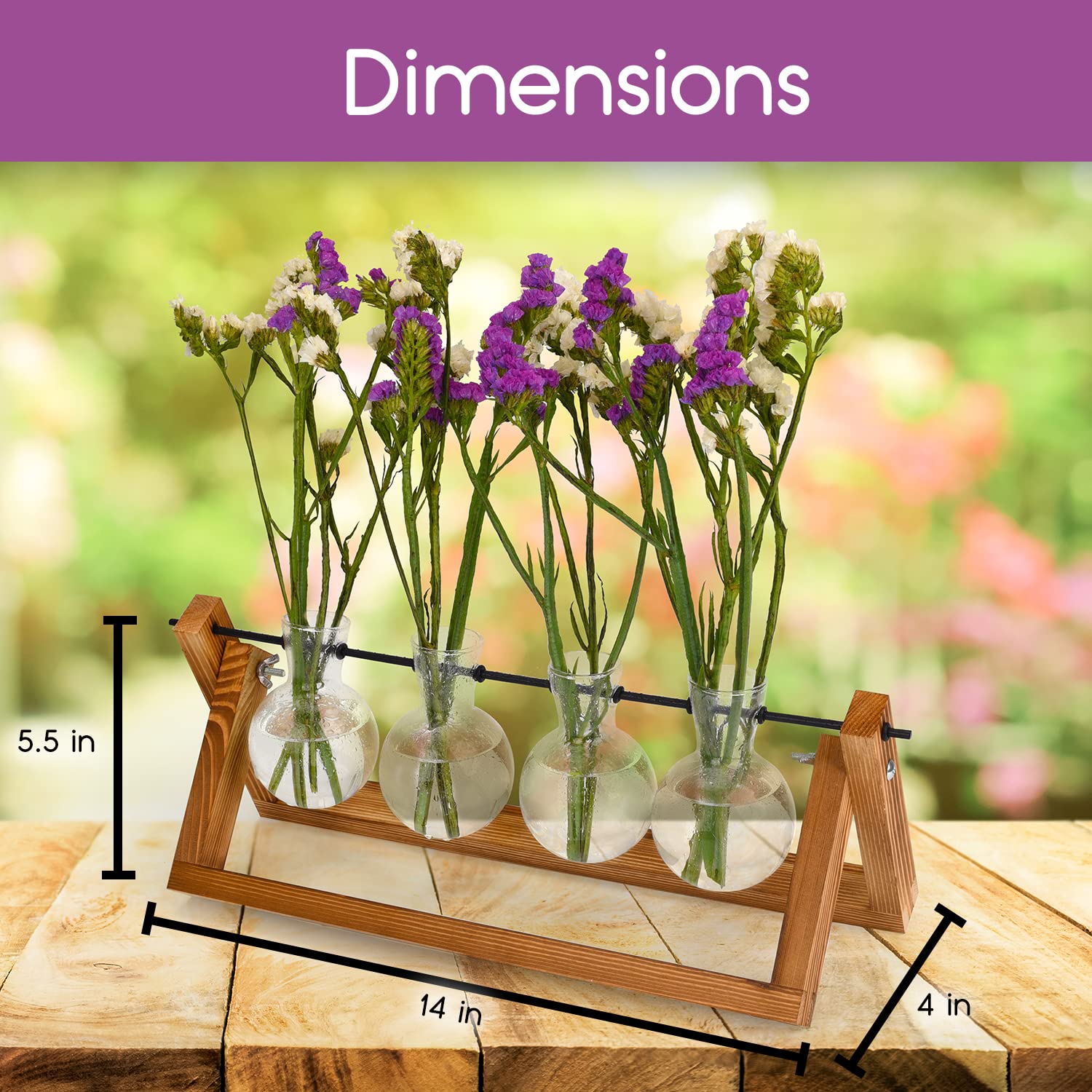 Plant Propagation Station Terrarium with Wooden Stand - 4 Glass Planters for Indoor Plants & Air Plants - Perfect for Home Decor, Office Desk, and Gift for Plant Lovers