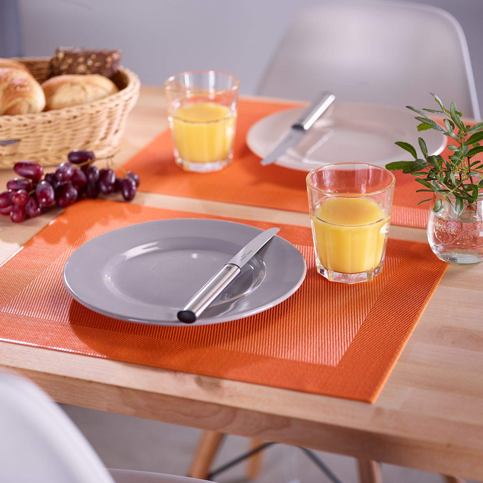 Westmark Home Vinyl Polyester Place Mats – Non-Slip, Durable & Easy to Clean – Perfect for Dining Tables, Kitchen Countertops & Outdoor Entertaining
