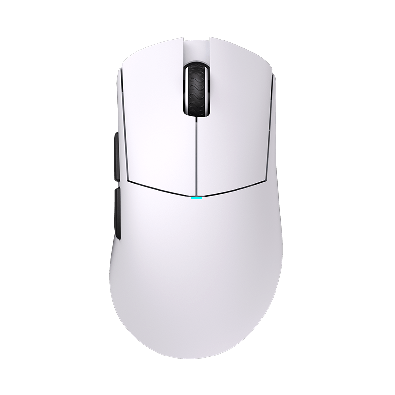 Polar White