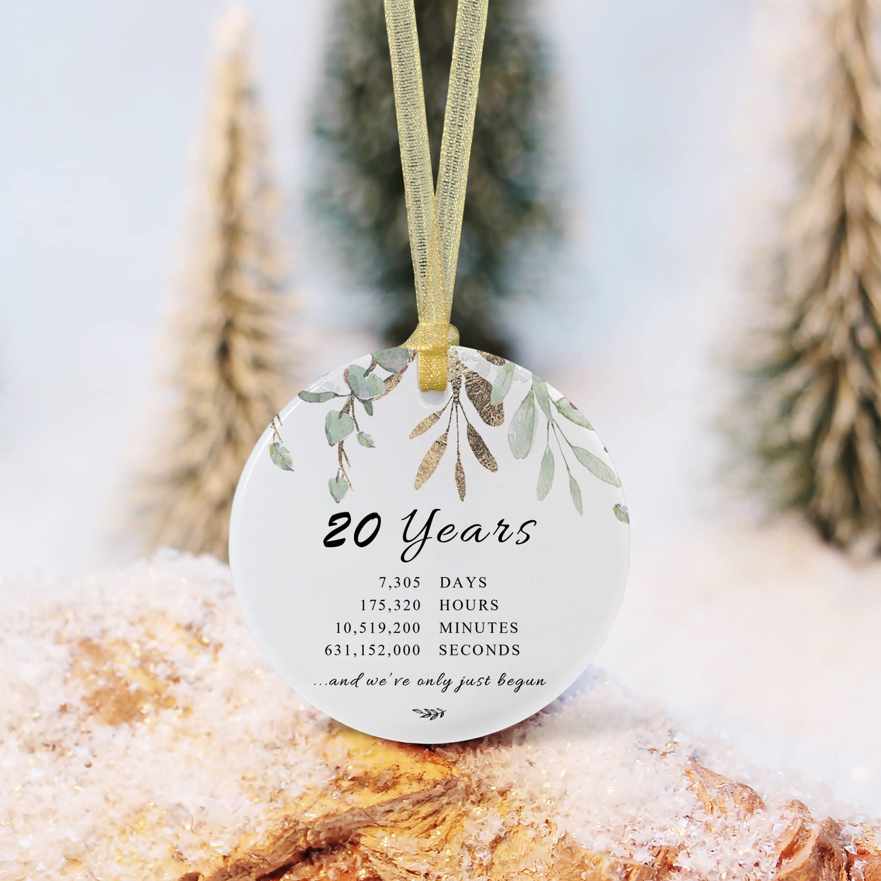 20th Anniversary Ornament for Couples - Home & Wedding Decor Gift
