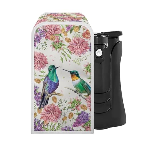 Cute Hummingbird