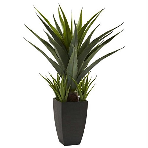 Agave Plant in Black Planter - Low Maintenance Succulent for Home, Office, and Garden Decor