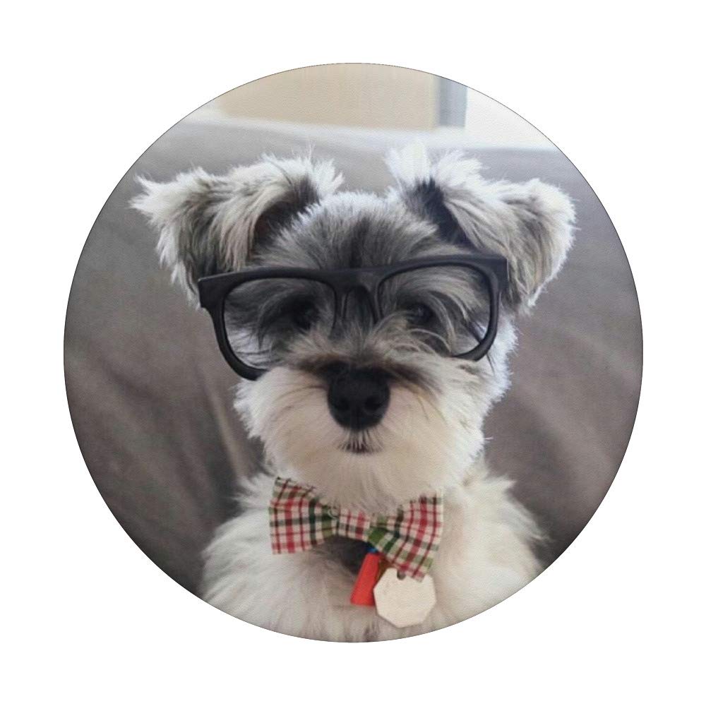 Schnauzer PopSockets PopGrip - Interchangeable Phone Grip & Stand for iPhone, Samsung, Tablets - Perfect for Selfies, Videos, and Secure Phone Handling