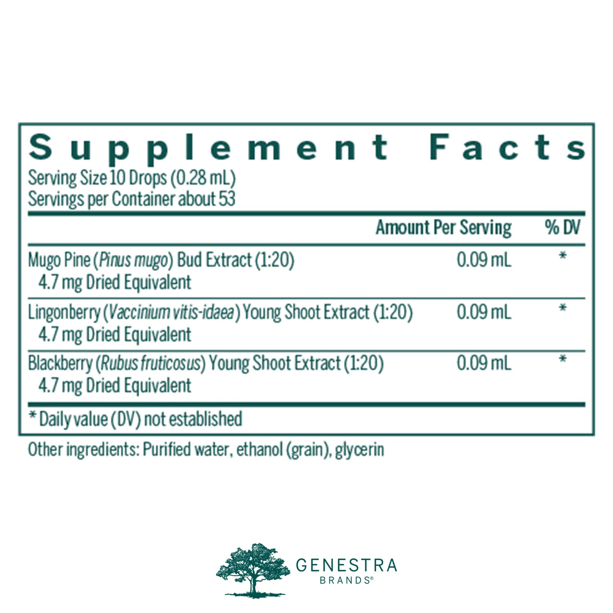 Genestra Brands Osteo-gen Herbal Supplement with Mugo Pine, Lingonberry & BlackBerry Extract (0.5 fl oz) - Supports Bone & Joint Health - Perfect for Active Lifestyles & Natural Wellness Routines
