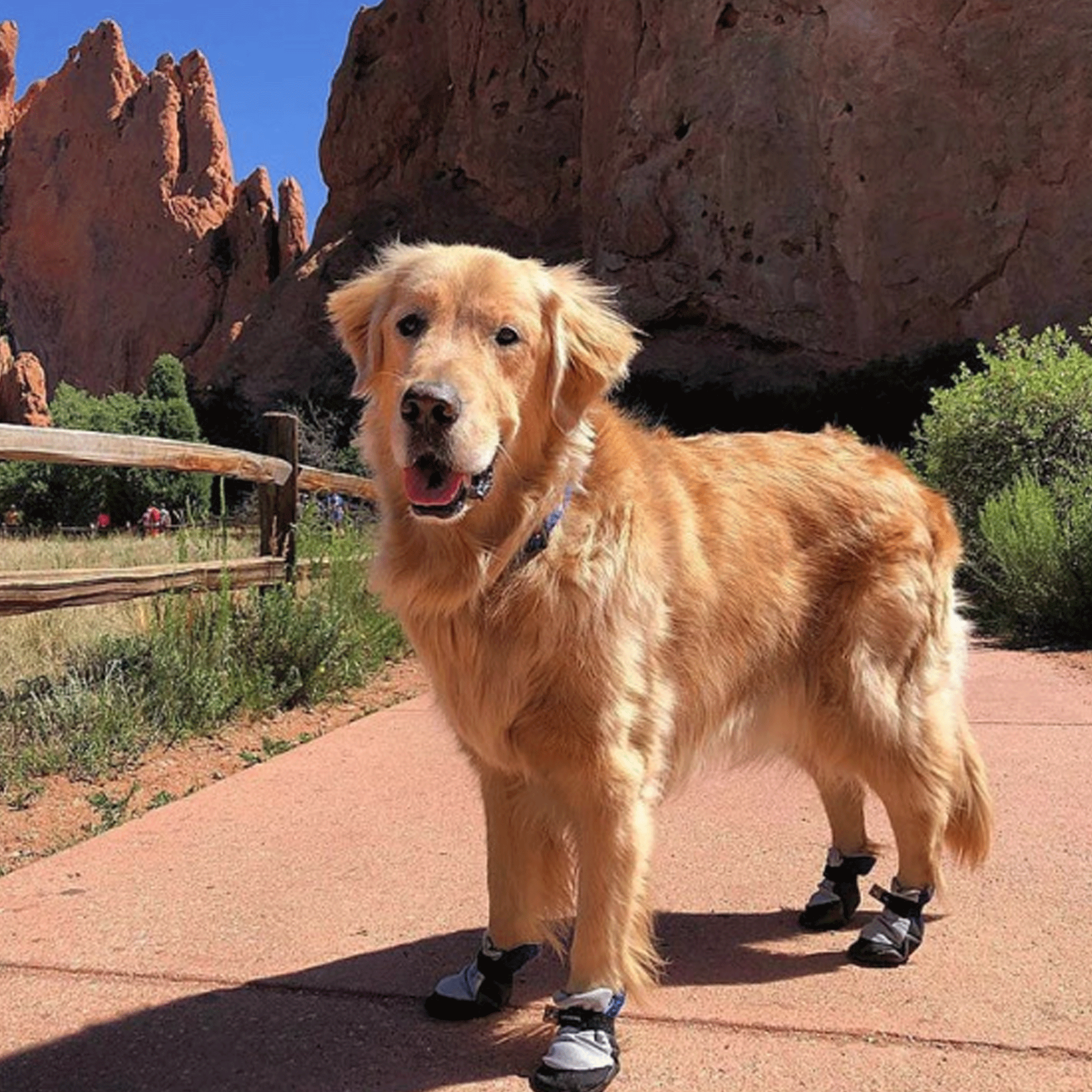 Lavasox Marina Blue Urban Dog Booties - Waterproof & Non-Slip Pet Shoes for Small Medium Dogs - Perfect for Walking, Hiking & Winter Protection