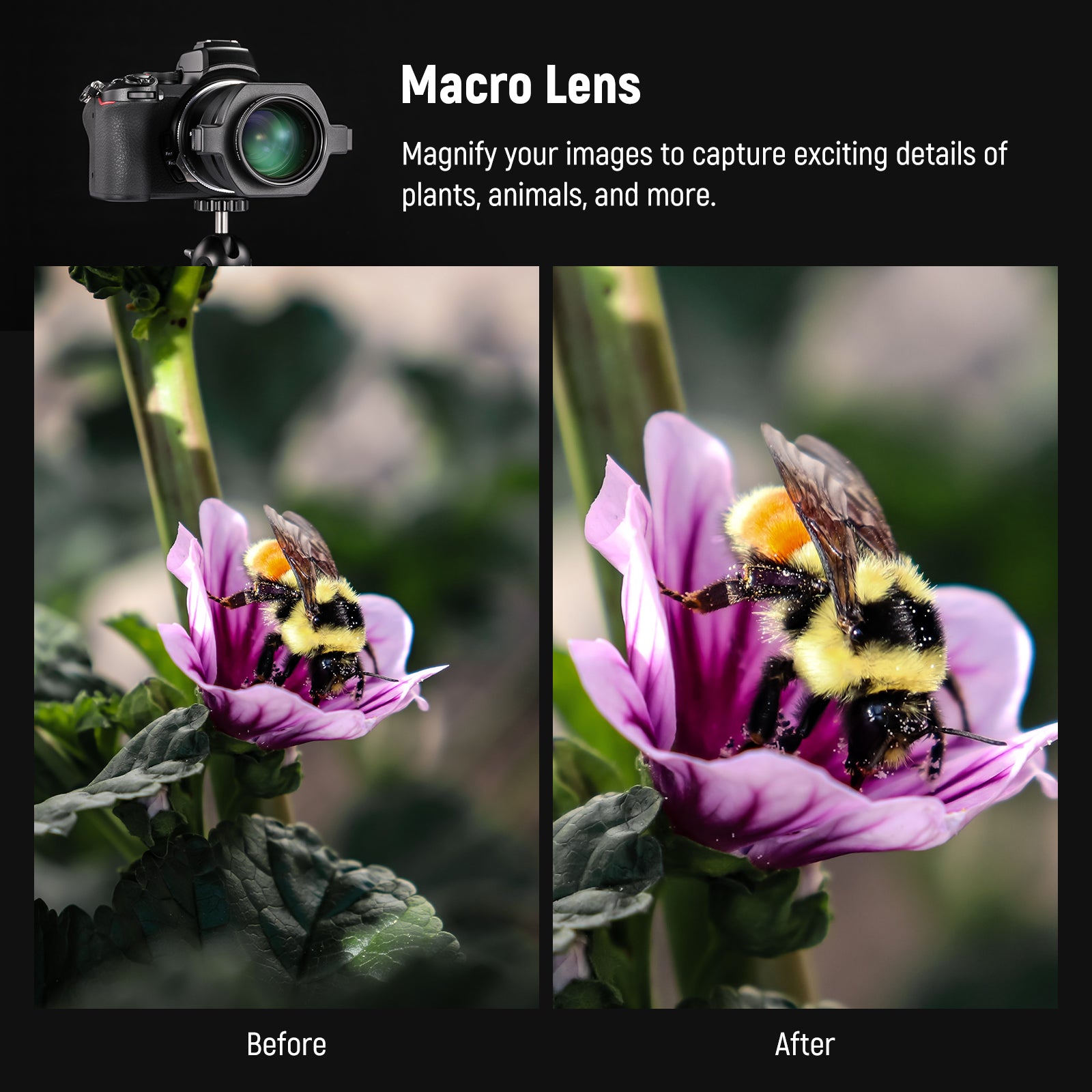 NEEWER LS 40 43mm HD Macro Lens for DSLR Cameras - High Definition Close-Up Photography for Jewelry, Flowers & Small Objects