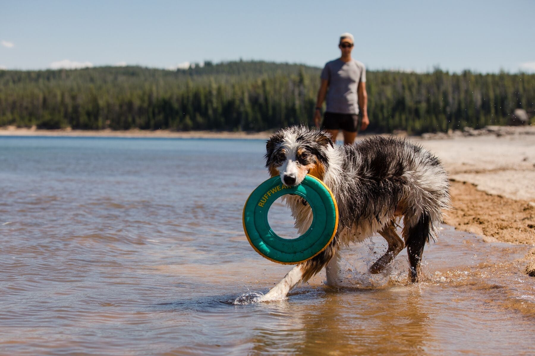 Ruffwear Hydro Plane™ Floating Dog Disc Toy - Tangelo Orange, Waterproof & Durable for Pool, Beach & Outdoor Play - Perfect for Fetch Games with Dogs
