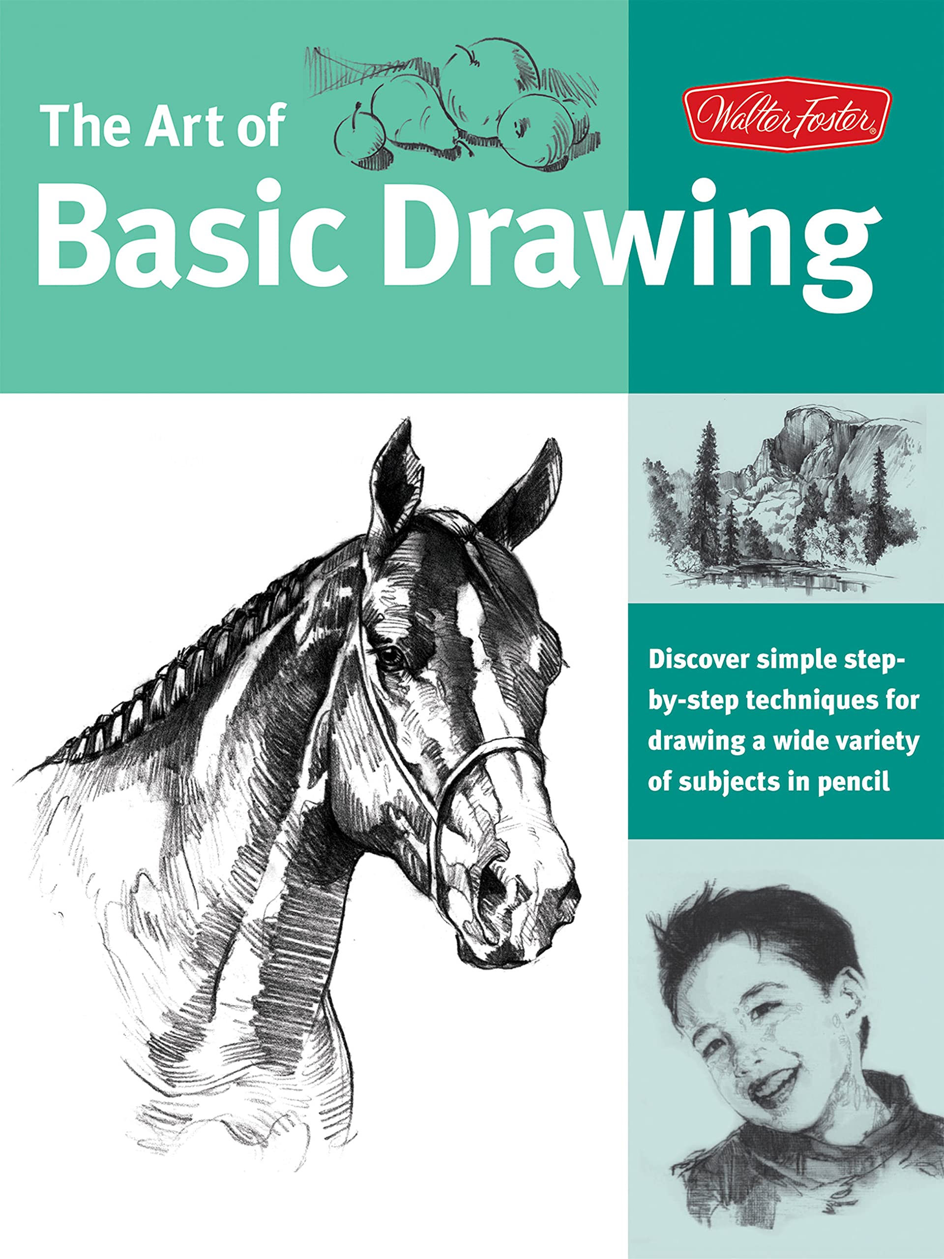 Walter Foster Art Book Collection - Learn to Draw & Paint with Step-by-Step Guides | Perfect for Beginners, Artists & DIY Enthusiasts | Home Studio, Classroom & Gift Use