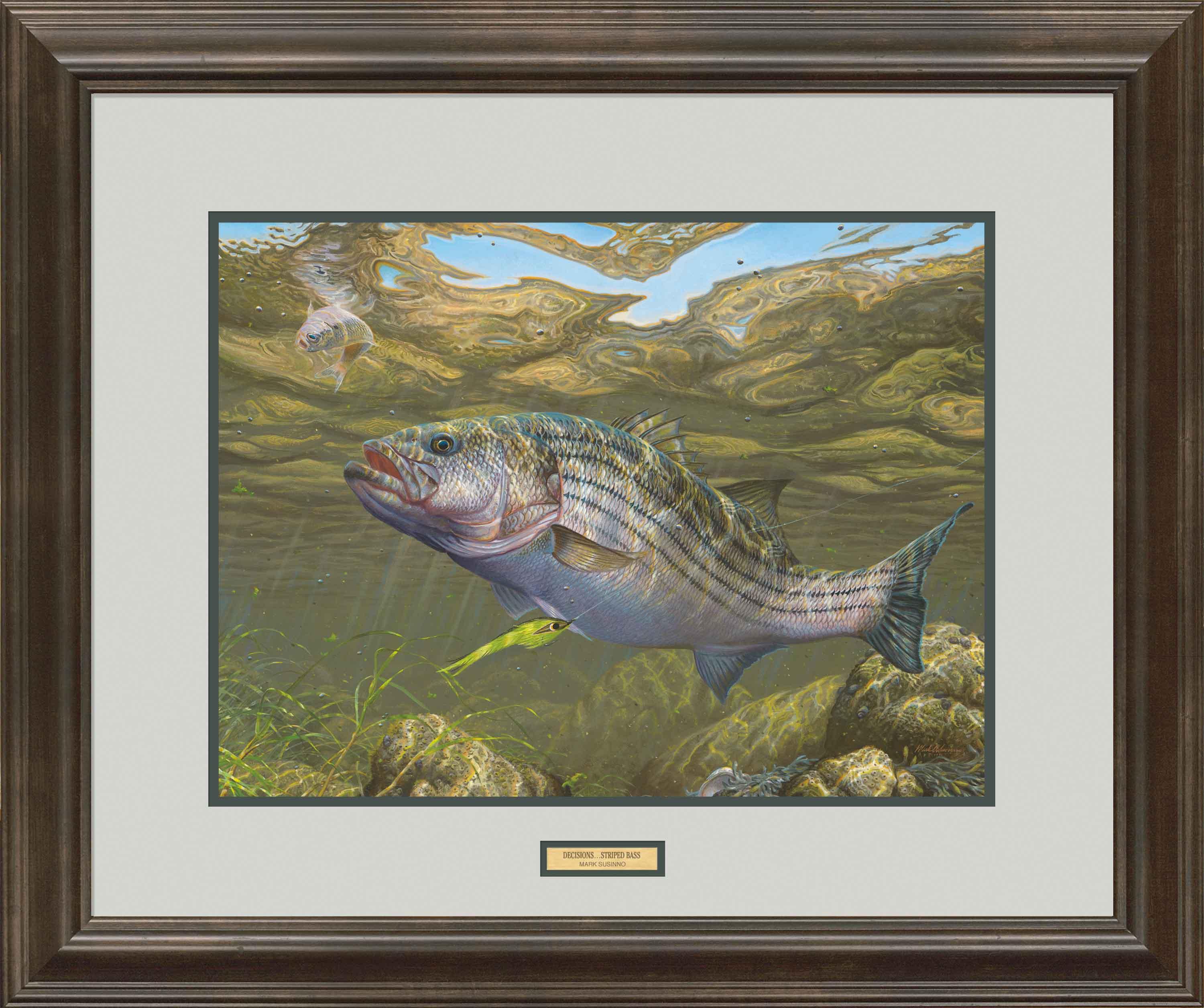 Limited Edition Striped Bass Fishing Paper - Premium Quality for Anglers & Collectors | Perfect for Framing, Scrapbooking & Decorative Art Projects