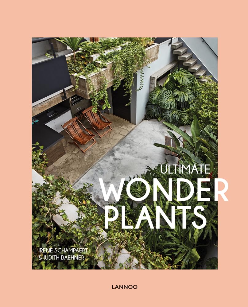 Ultimate Wonder Plants for Urban Jungle Interior Decor - Best Indoor Plants for Home, Office & Apartment Greenery