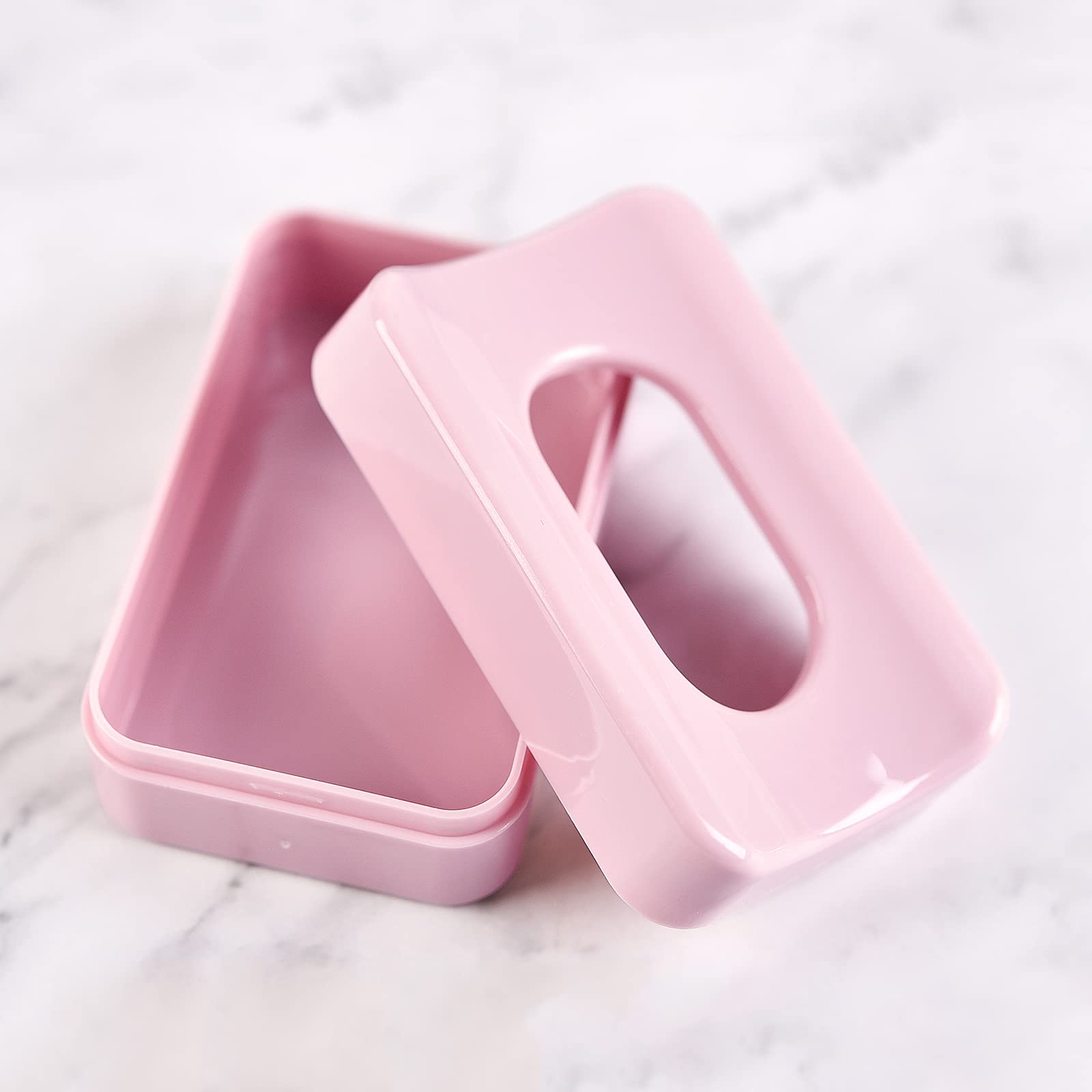 KADS Nail Powder Storage Box - 2 Pack Dip Powder Organizer with Dust Brush | Portable Nail Art Tray for Acrylic & Gel Nail Powder | Perfect for Salon & Home Manicure Stations