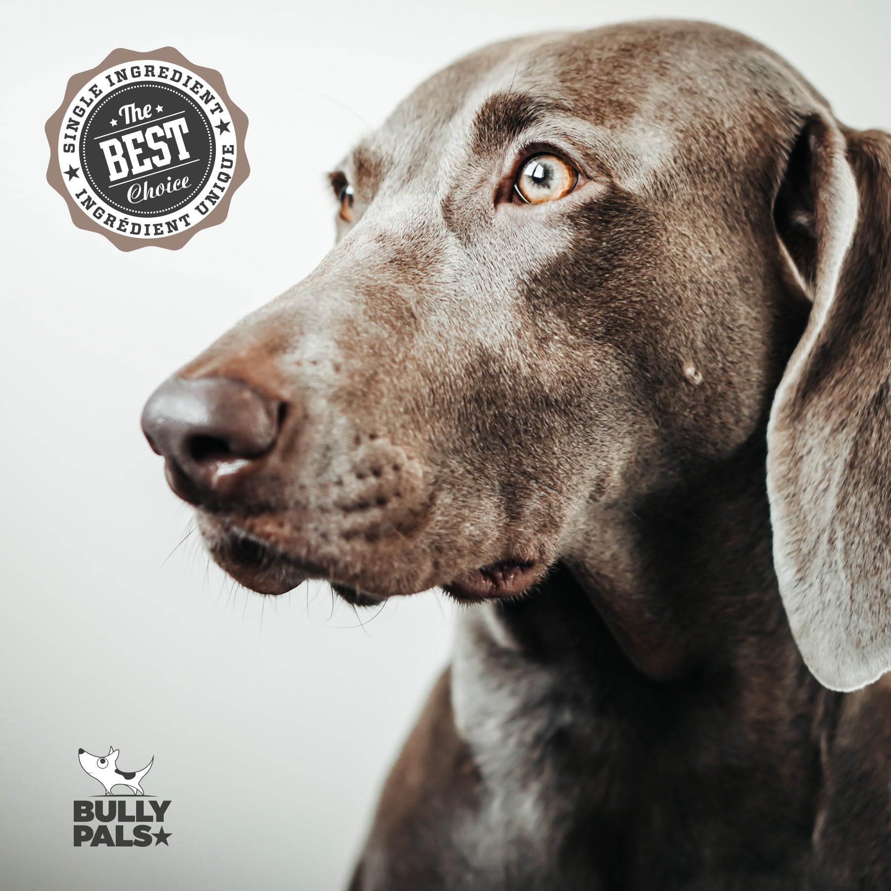 Premium 6-Inch Jumbo Bully Sticks for Dogs - 6 Pack | All-Natural, Single-Ingredient, Long-Lasting Dehydrated Dog Treats & Dental Chews - Perfect for Aggressive Chewers, Training Rewards, and Oral Health Care