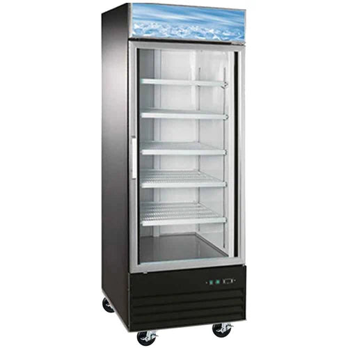 Commercial Glass Door Freezer - 31