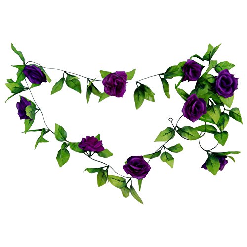 Dark Purple