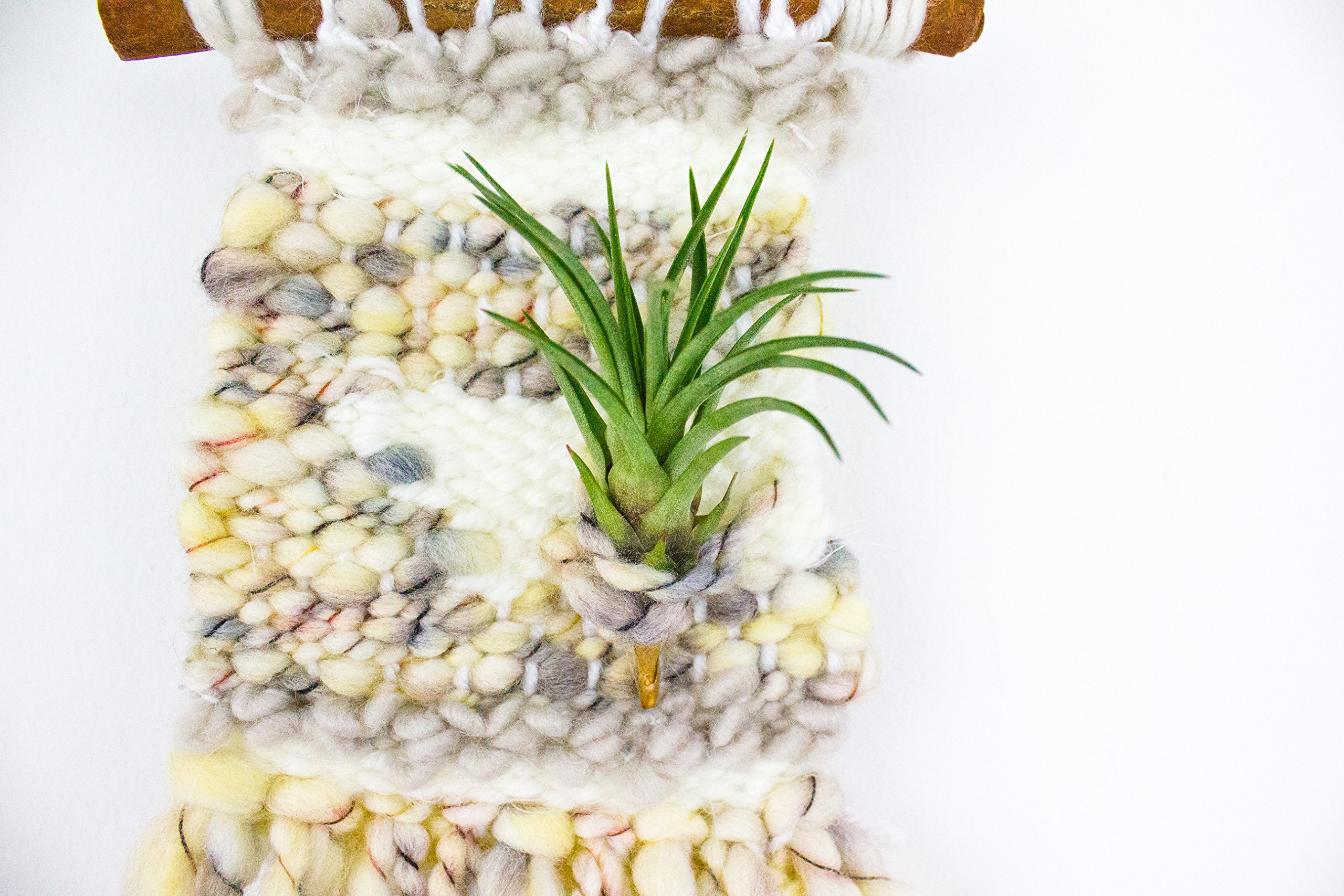 Mini Woven Tapestry Air Plant Holder - Handmade Boho Wall Hanging Decor for Tillandsia - Perfect for Home, Office, and Wedding Decorations