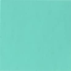Holbein Acryla Gouache Paint - Professional Artist Grade Acrylic Gouache in Ice Green Color - Perfect for Illustration, Watercolor Techniques & Mixed Media Art