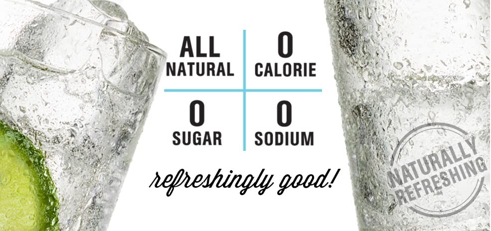 Hal's New York Seltzer Sparkling Water - Lemon Flavor, Zero Sugar, Zero Calorie, Zero Carb, 20 Fl Oz (24 Pack) | Refreshing Beverage for Parties, Picnics & Healthy Hydration