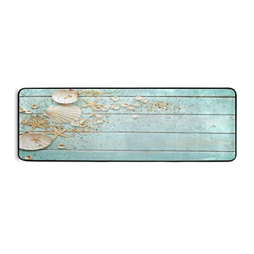 Shells on Wooden Board