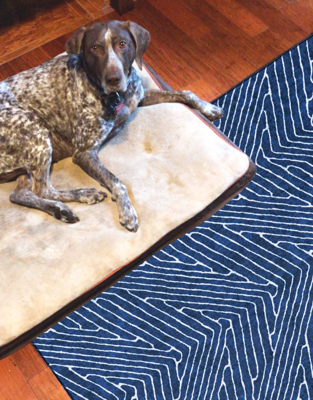 Linon Home Decor Washable Area Rug 5' x 7' - Varishna Blue & Ivory Indoor/Outdoor Rug for Living Room, Bedroom, Patio - Machine Washable & Stain Resistant