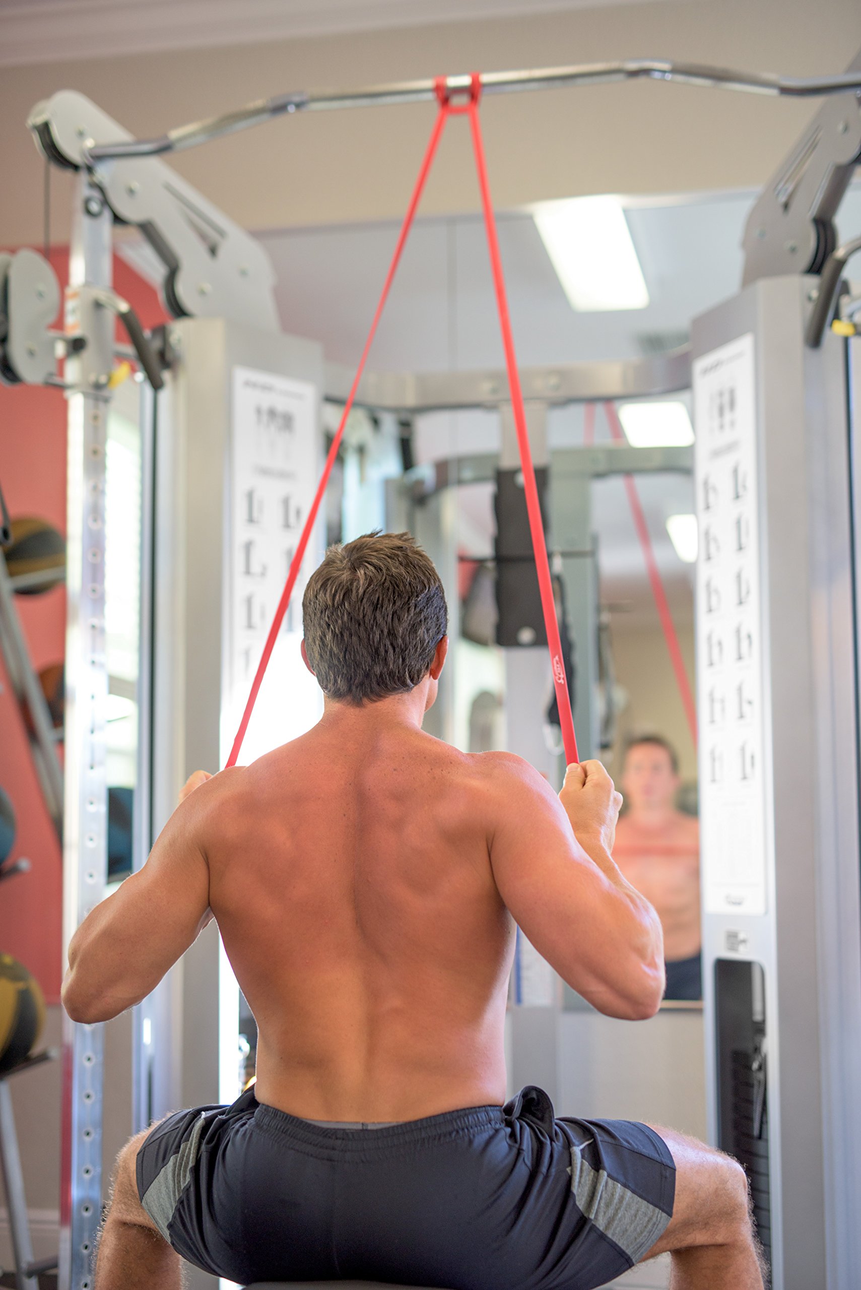 Fit Simplify Pull Up Assist Resistance Bands - Workout Bands for Strength Training, Physical Therapy, Stretching & Mobility Exercises - Perfect for Home Gym, CrossFit & Rehabilitation