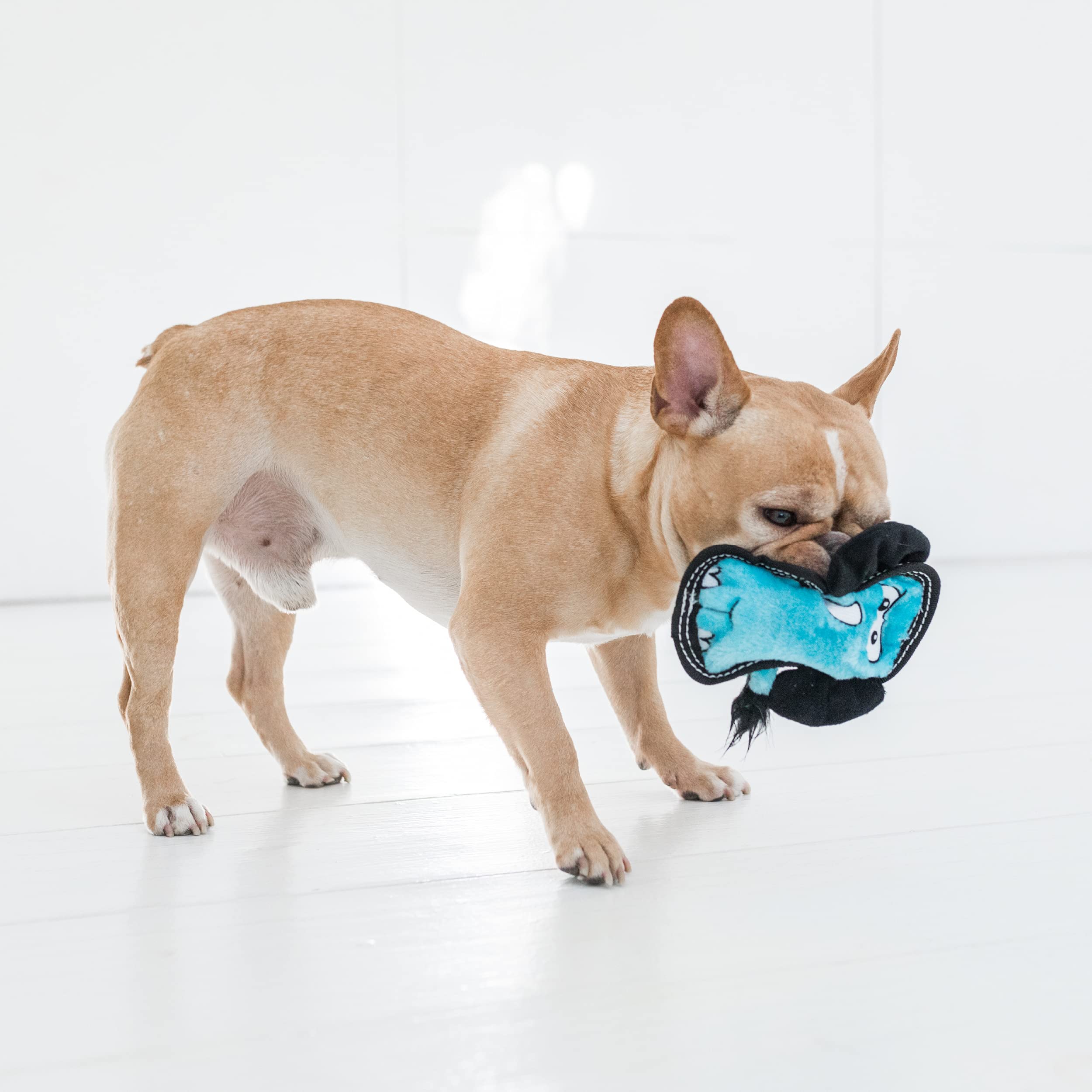 Outward Hound Tough Seamz Elephant Plush Dog Toy for Small Dogs - Durable Chew-Proof Stuffed Animal for Puppies & Small Breeds - Perfect for Indoor Play, Training Rewards & Cuddling