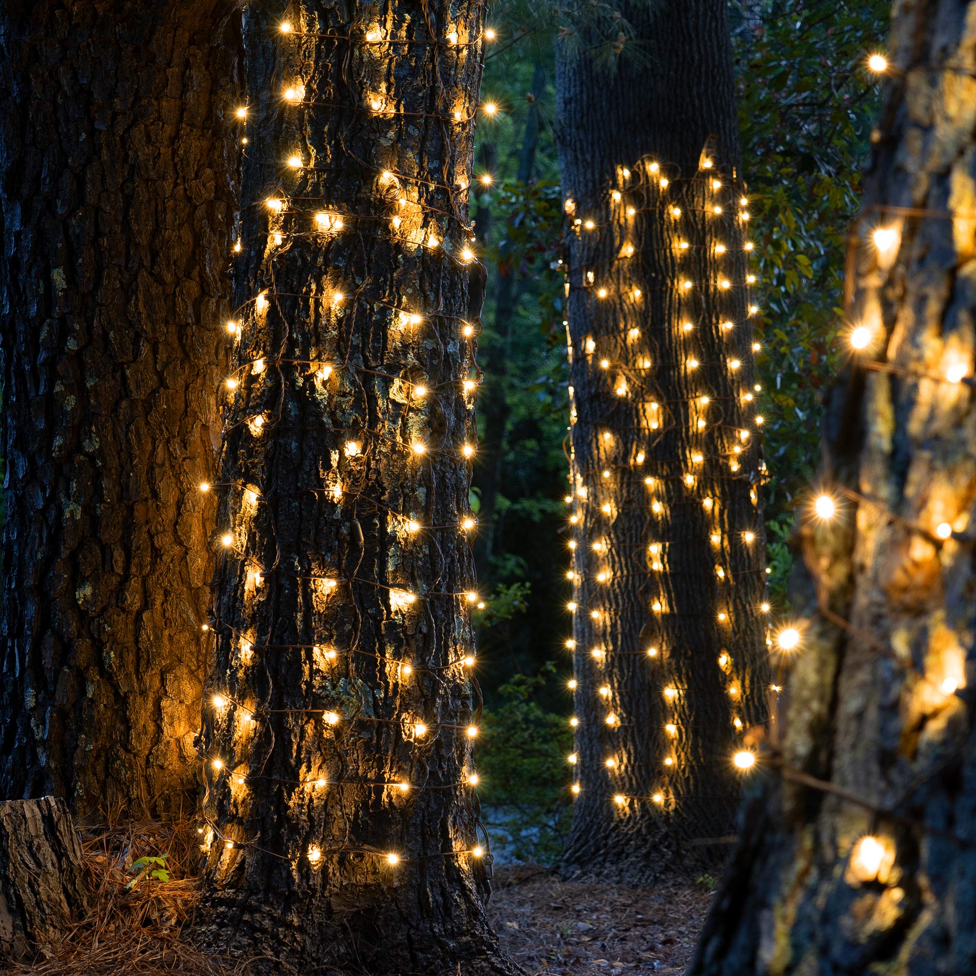 Wintergreen Lighting LED Tree Trunk Wrap Lights - 100 Warm White Christmas Lights with 2' x 6' Net & Brown Wire for Outdoor Holiday Decor | Perfect for Wrapping Trees, Bushes, and Yard Decorations