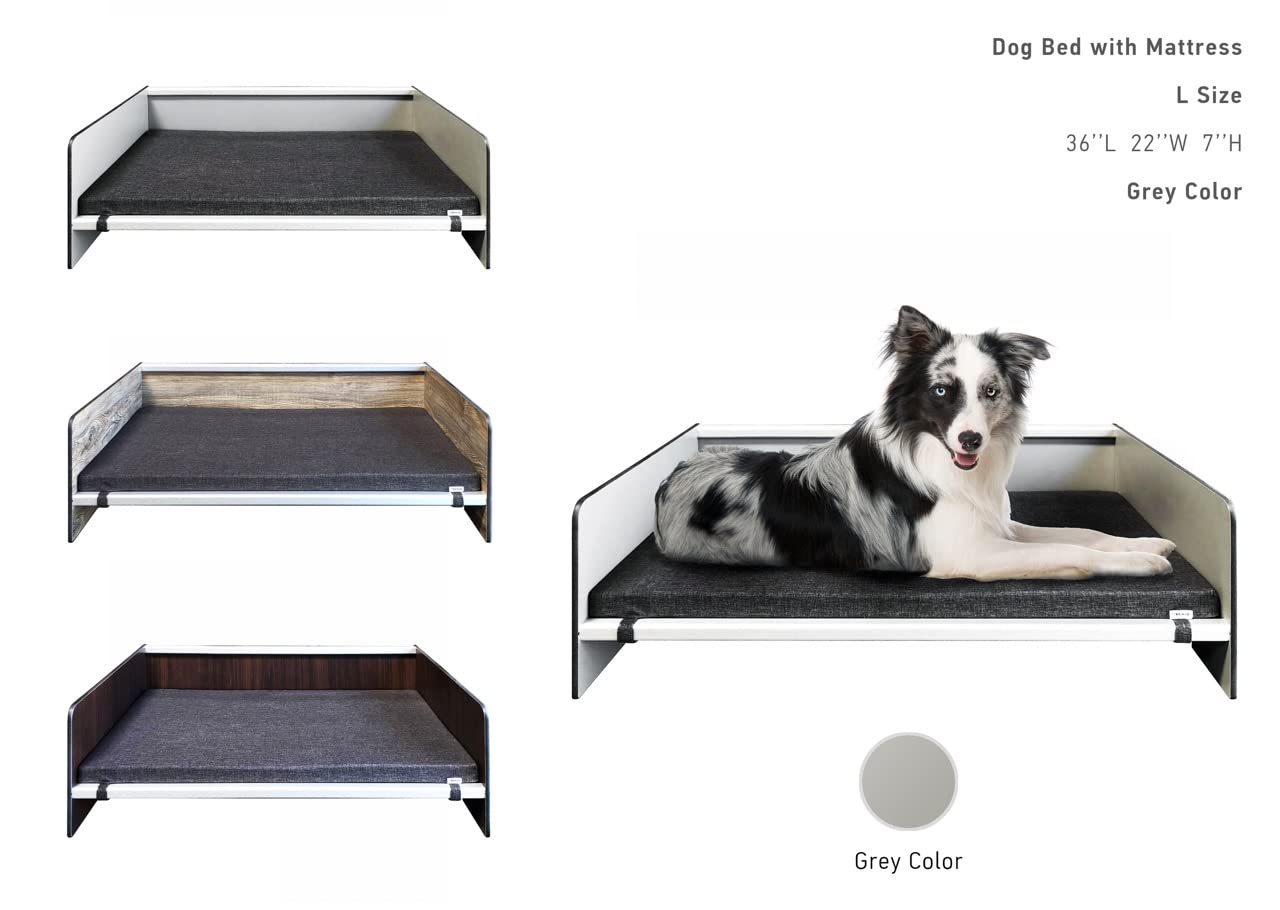 Foreman Waterproof Modern Comfort Dog Bed with Backrest - Durable Pet Bed for Dogs & Cats | Compact Laminate & Aluminum Frame | Dark Grey Mattress Included | Perfect for Living Room, Bedroom & Pet-Friendly Spaces
