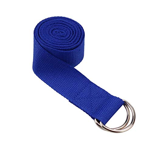 Women's Yoga Stretch Strap with D-Ring - Exercise Resistance Bands for Waist, Leg & Gym Workouts - Multi-Color Fitness Belt (Blue) - Perfect for Yoga, Pilates, Home & Gym Training